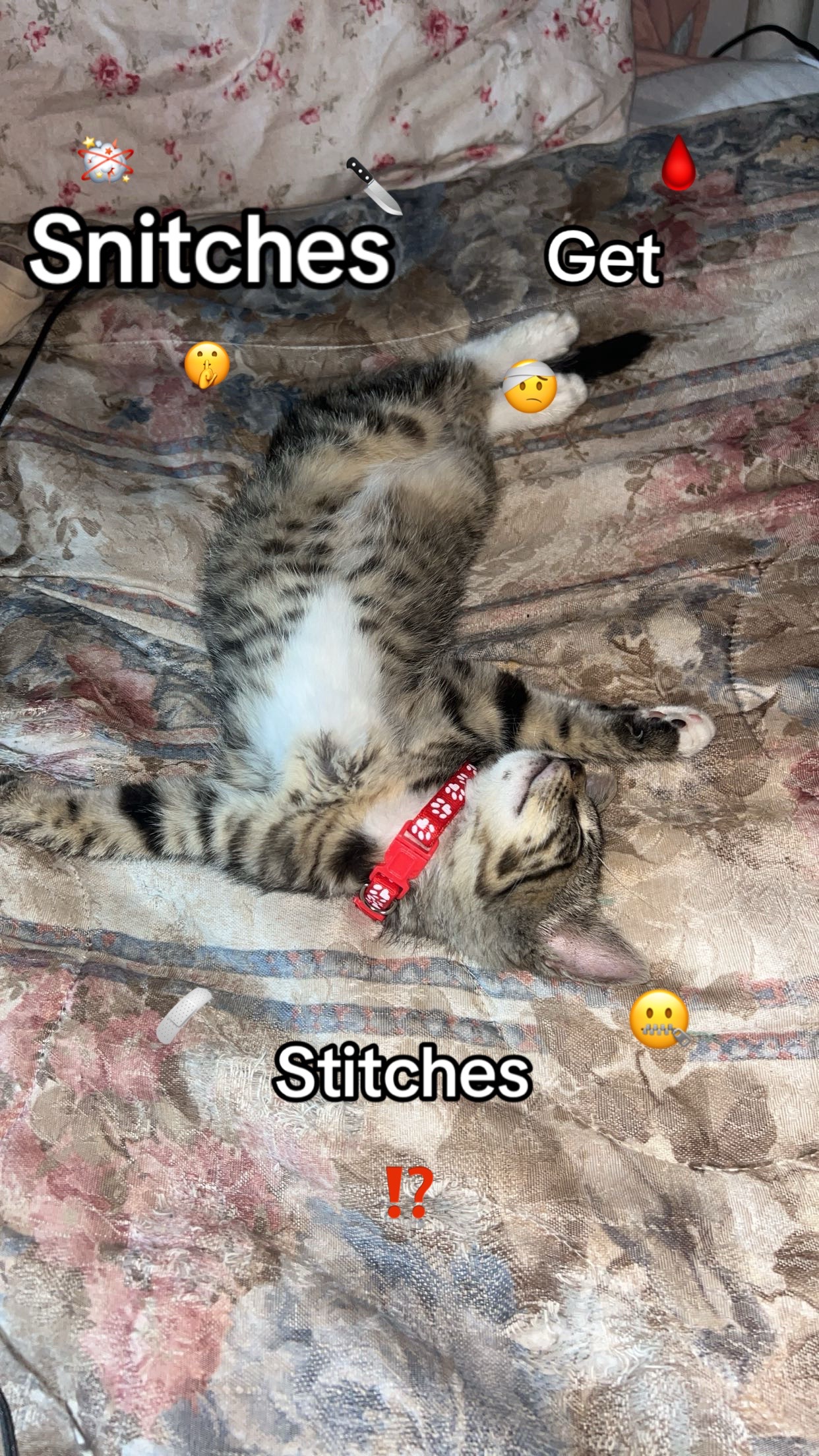 @𝓔𝓶𝓶𝓪