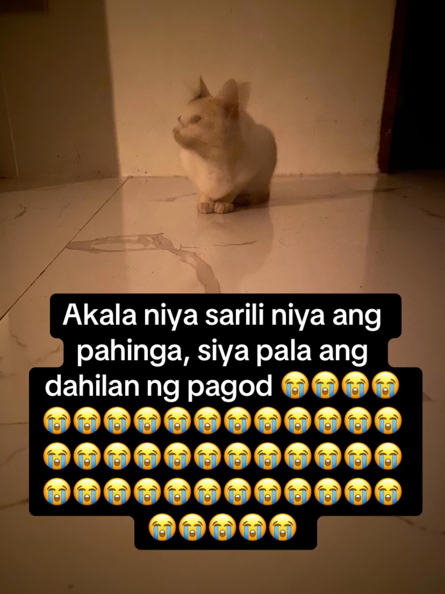 @shunnjak🪖
