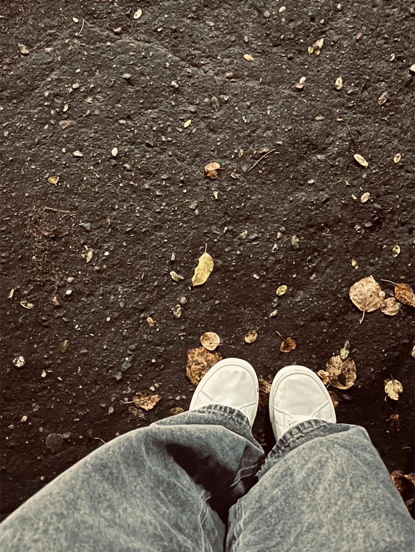 @𝐷𝑎𝑠ℎ𝑎𝑦𝑎