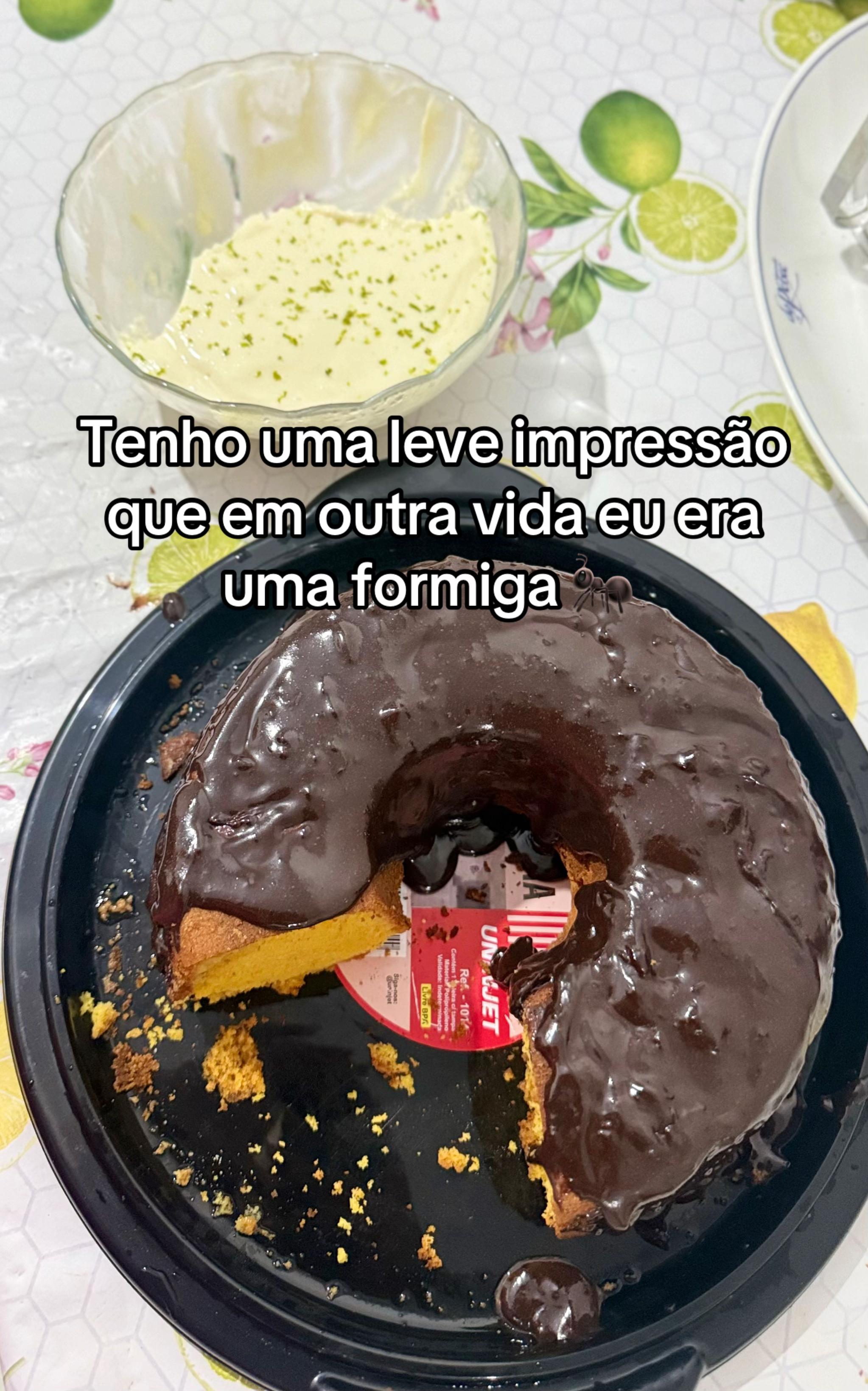 @jamilyramos961