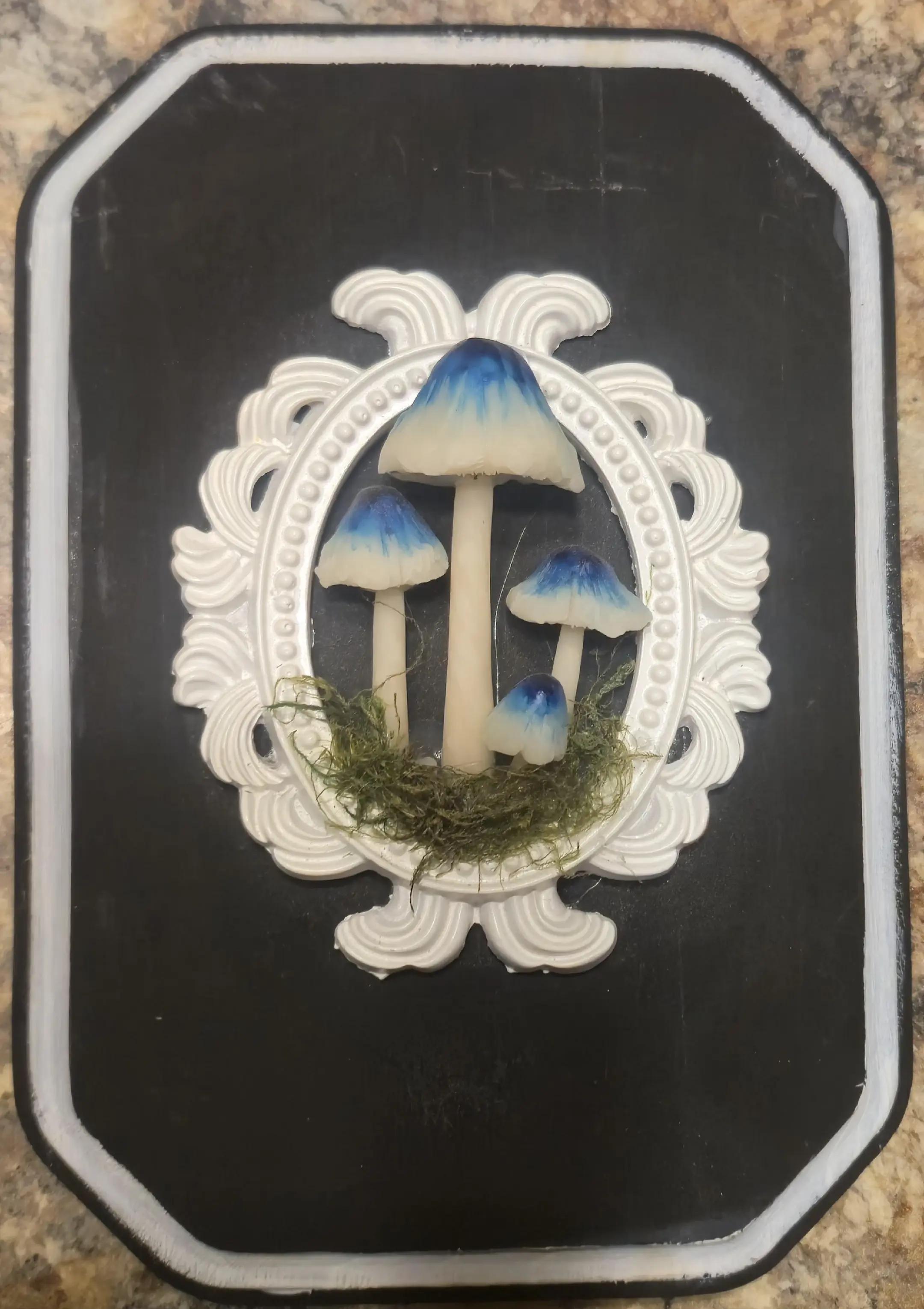 @TotalMindFunk