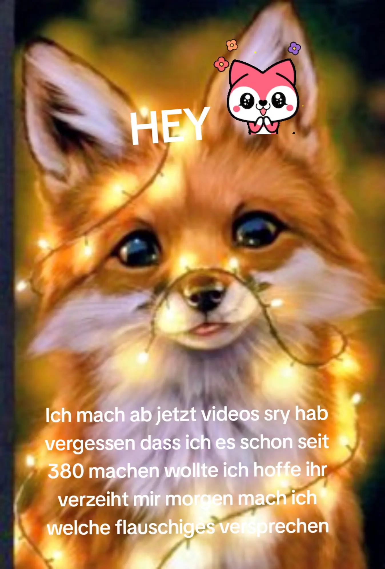 @Lina 🐾🦊