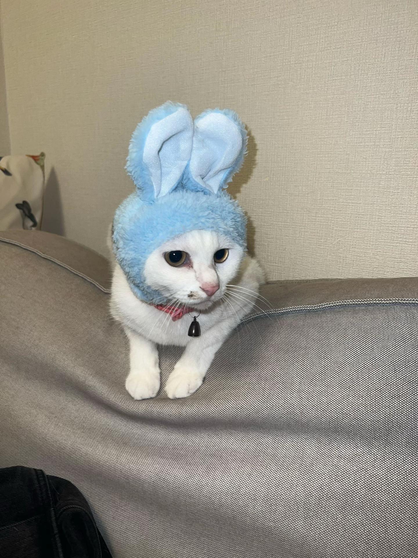 @れい