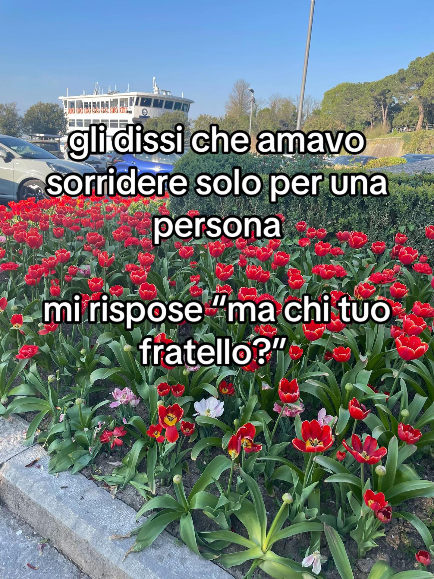 @Ananaseutum💜🍍