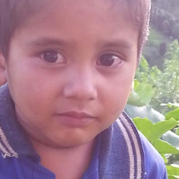 @krishna oli