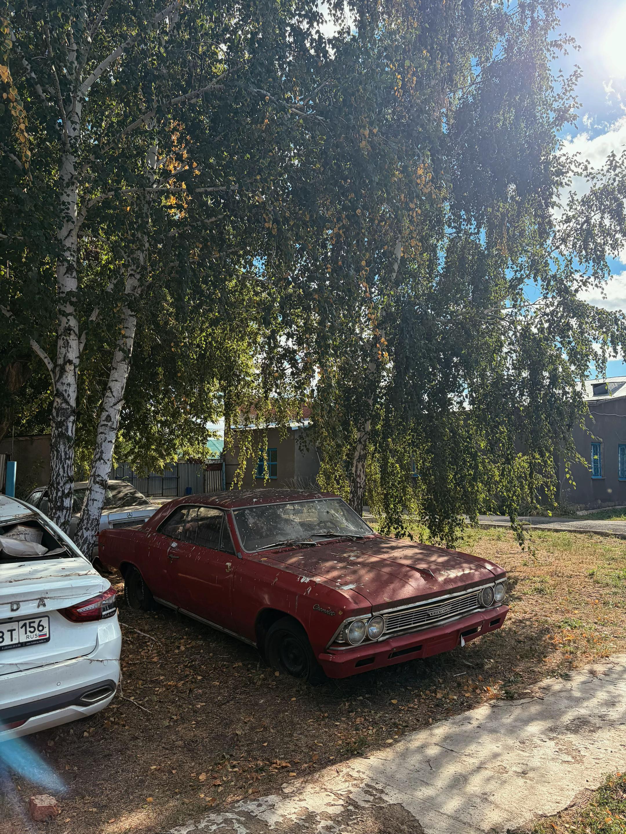 @terentev_053