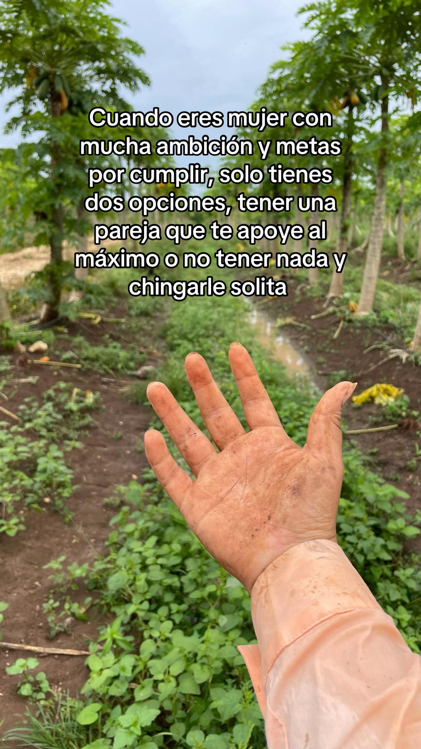 @La del Agro 👩🏻&zwj;🌾🌱