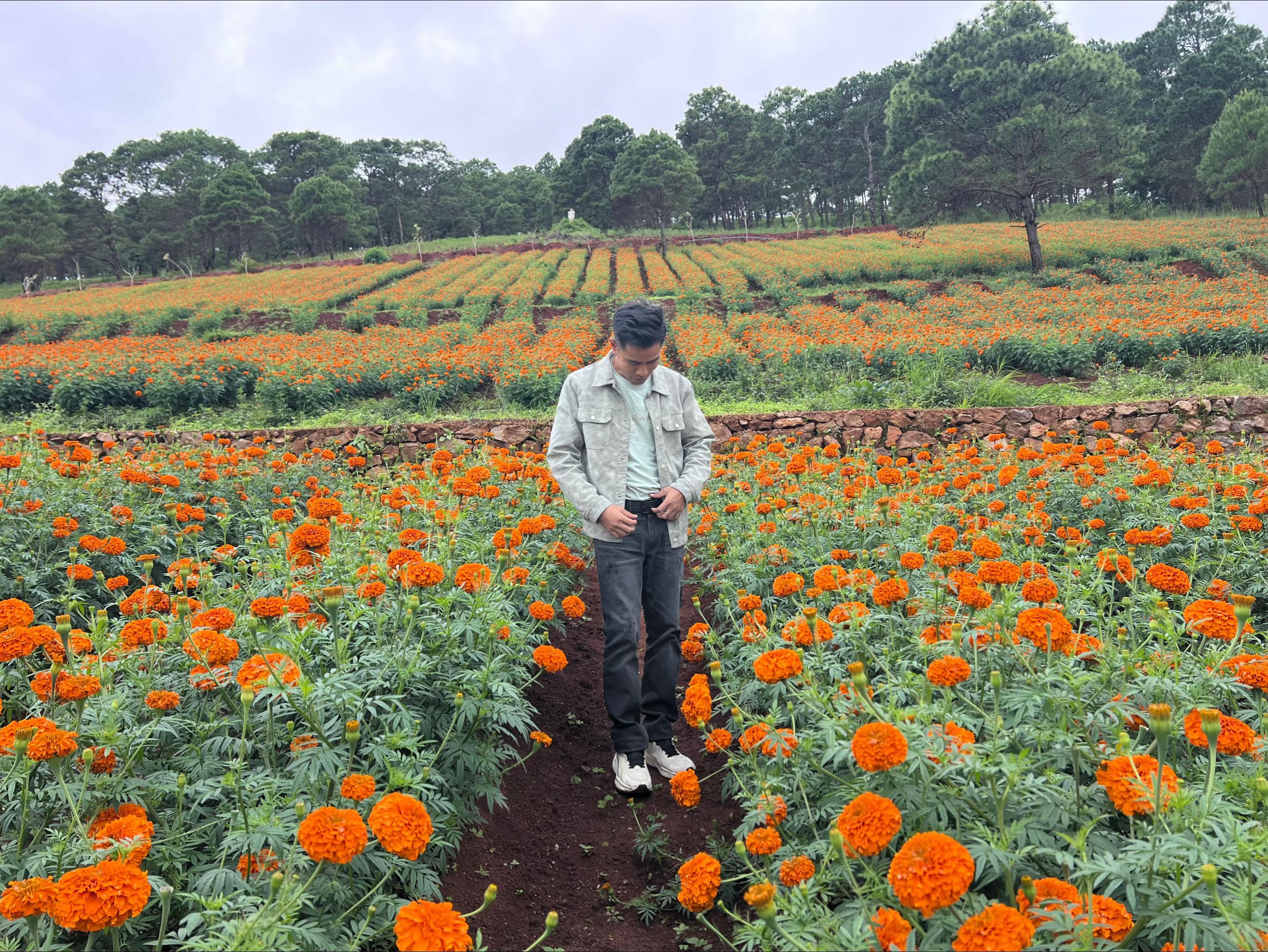 @ko phyo