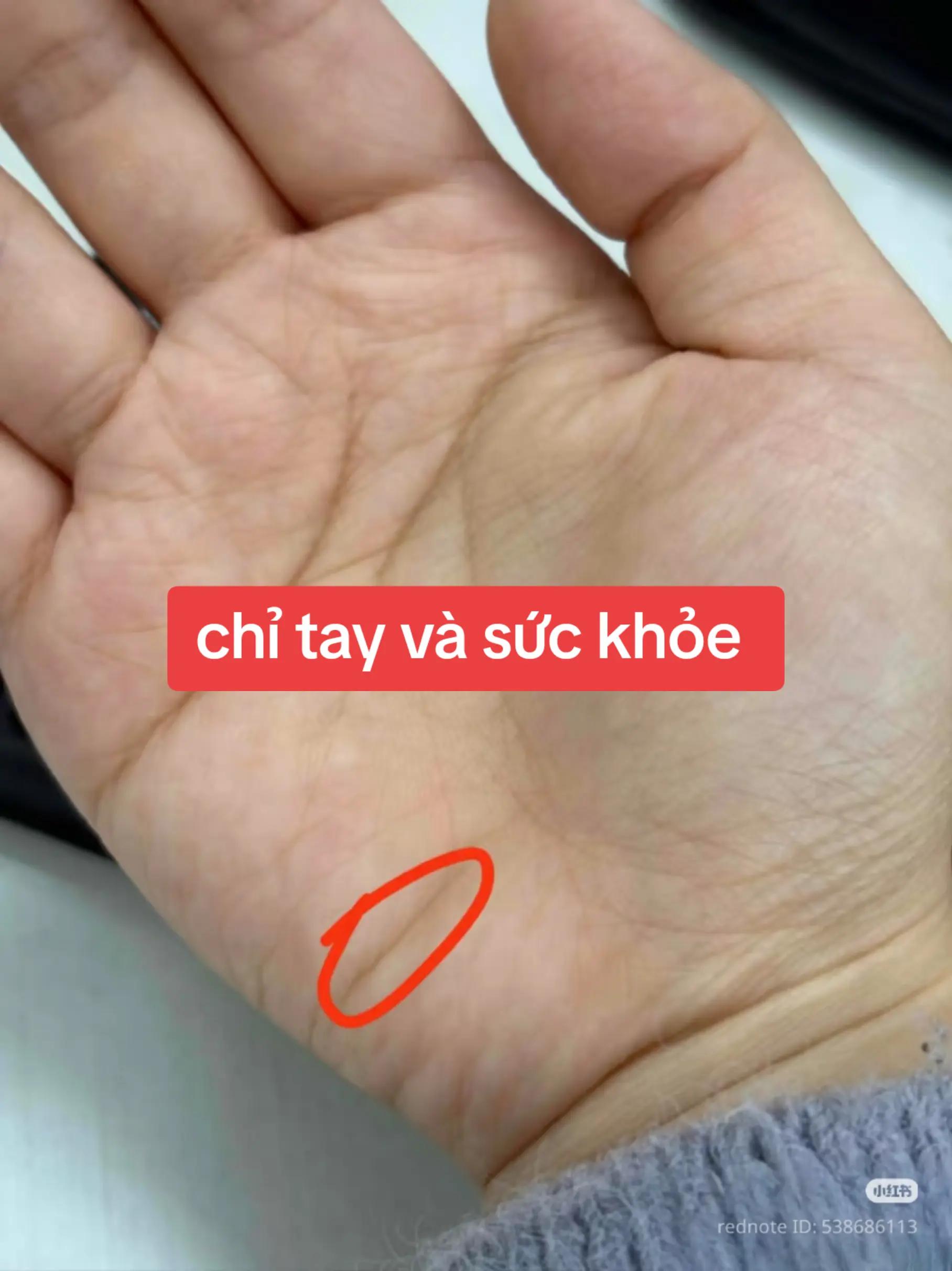 @Nh&acirc;n Tướng Sửa M&igrave;nh (Đỗ L&acirc;m)