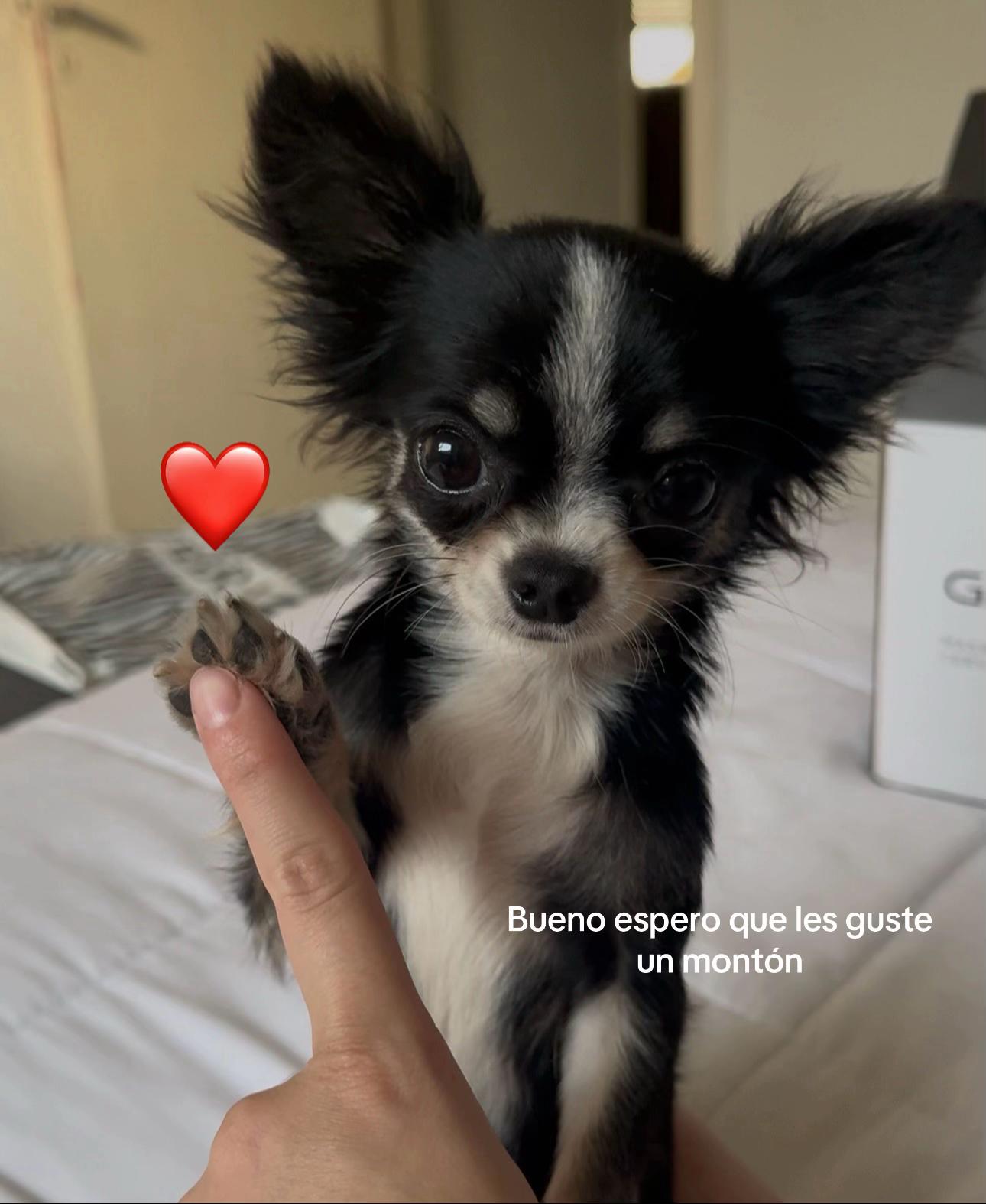 @Avril Buffa
