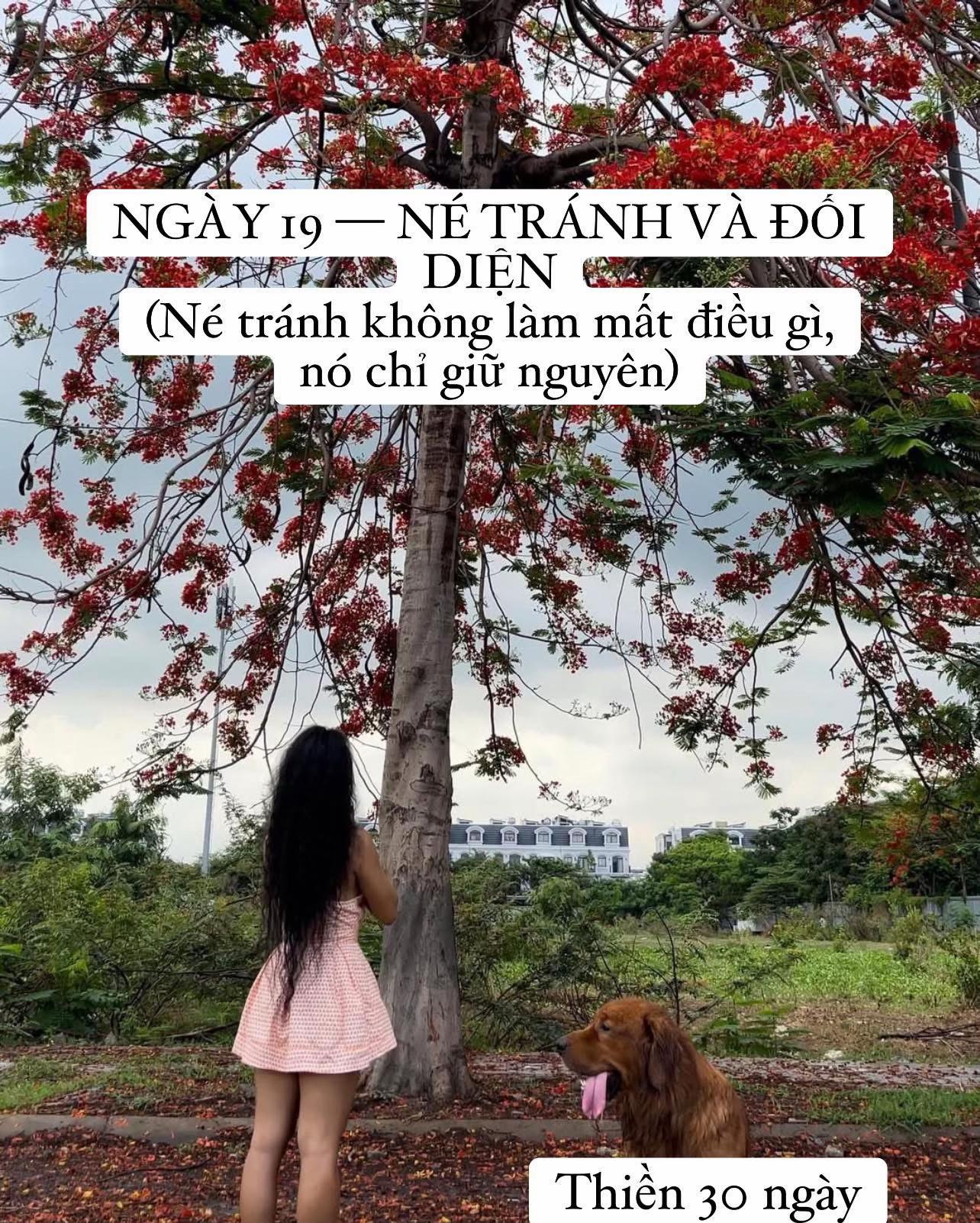@buihoangbichtho