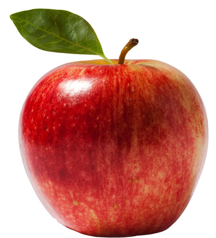 @🪶🍎Toby_Beans⭐🫀