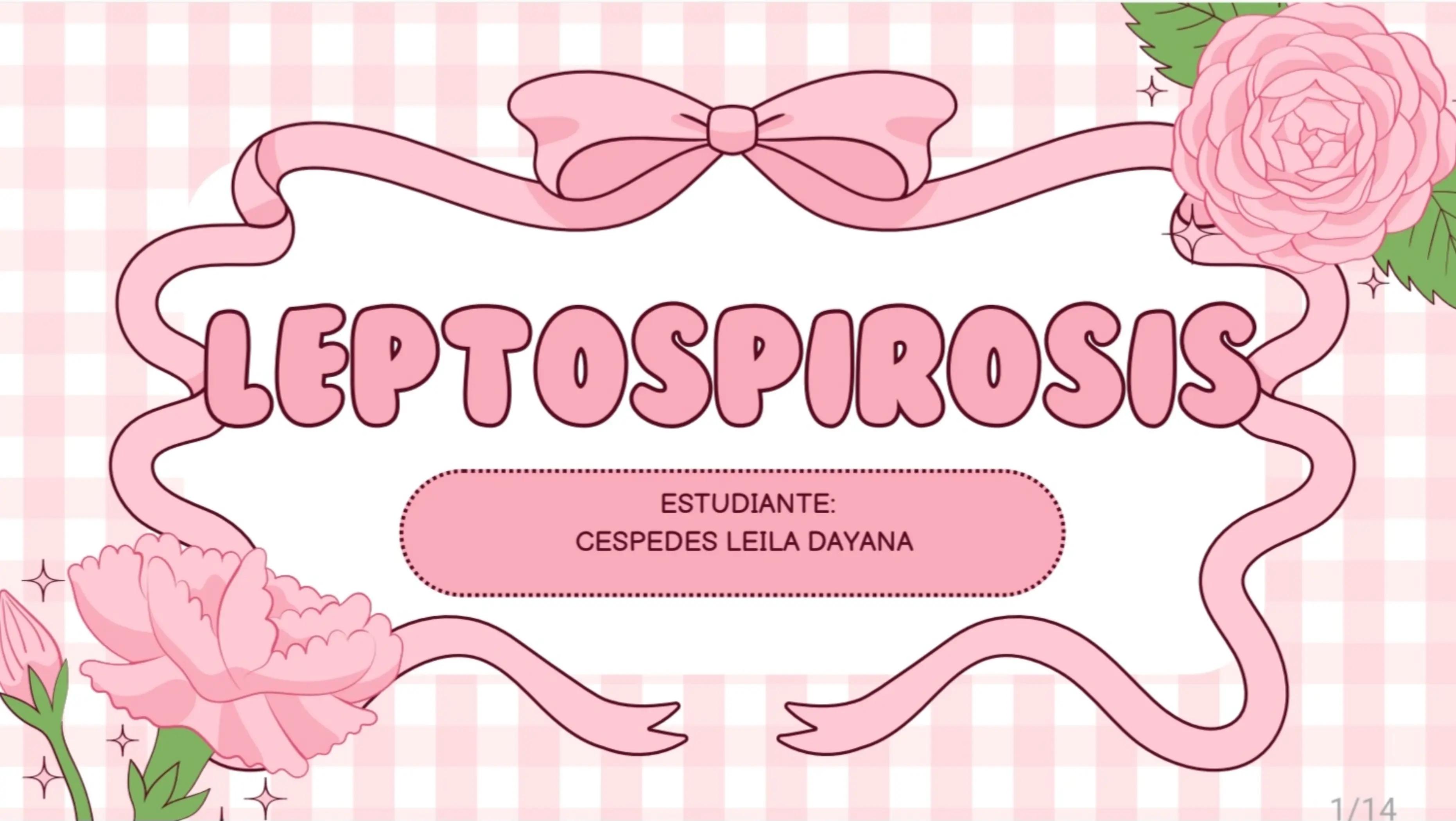 @🐼♡🎀  𝐿𝑒𝓎𝓁𝒾𝓉𝒶  🎀♡🐼