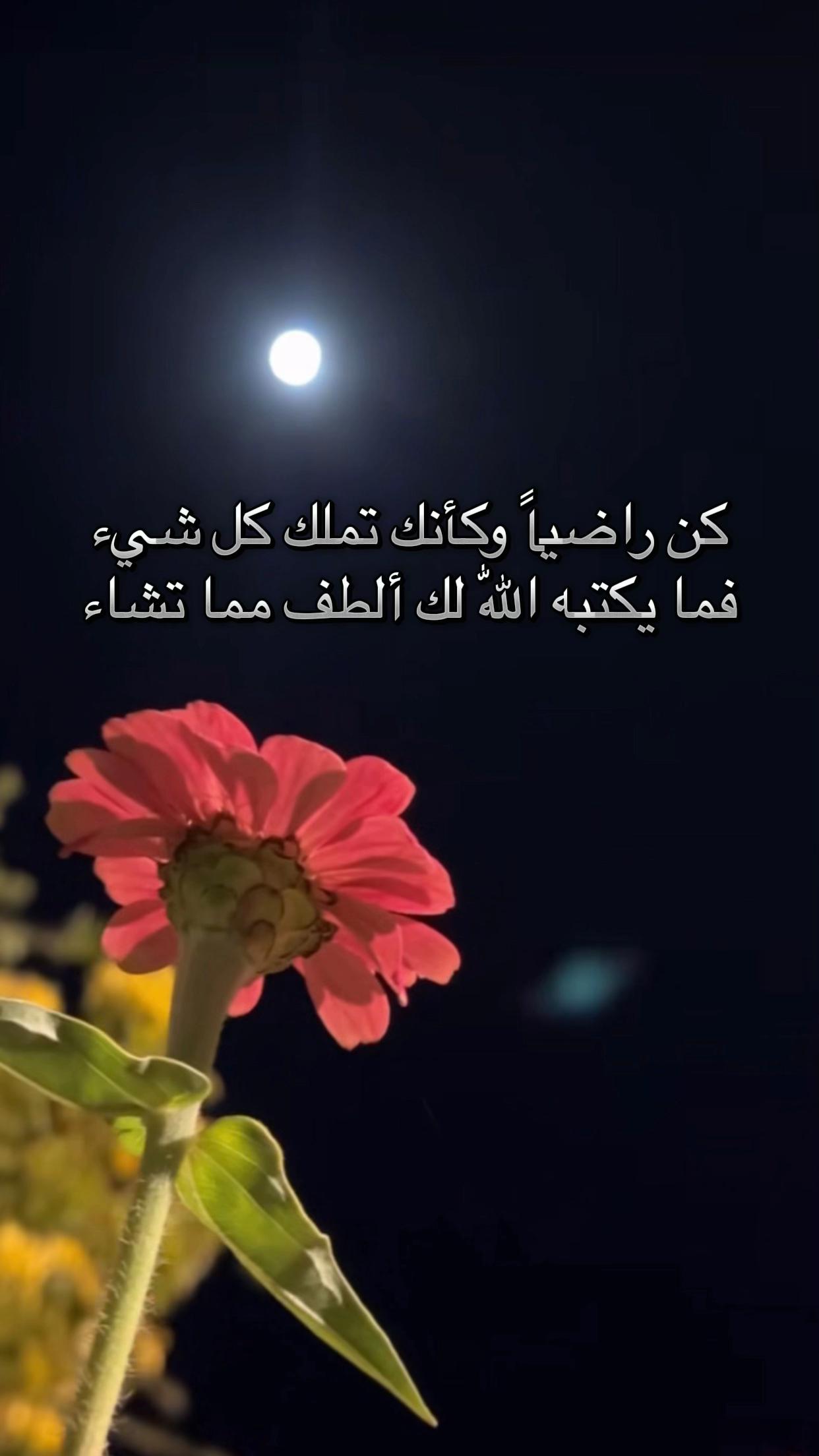 @AL nawawi 🦅