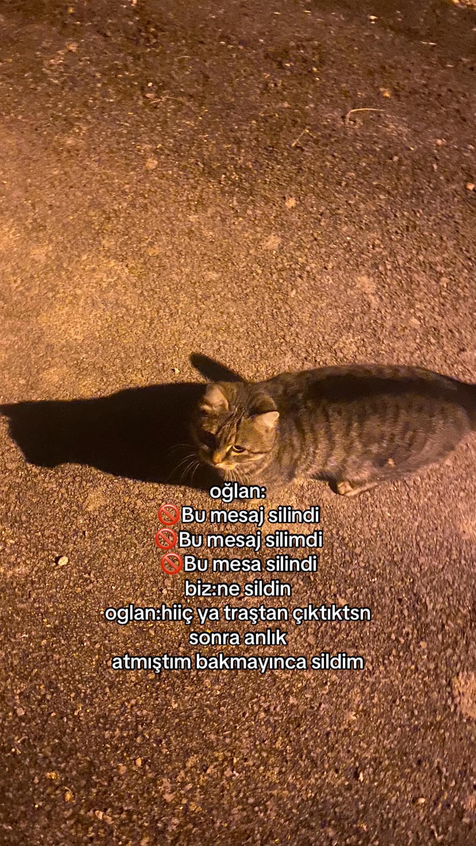 @gt yapıyorum 🫶🏻