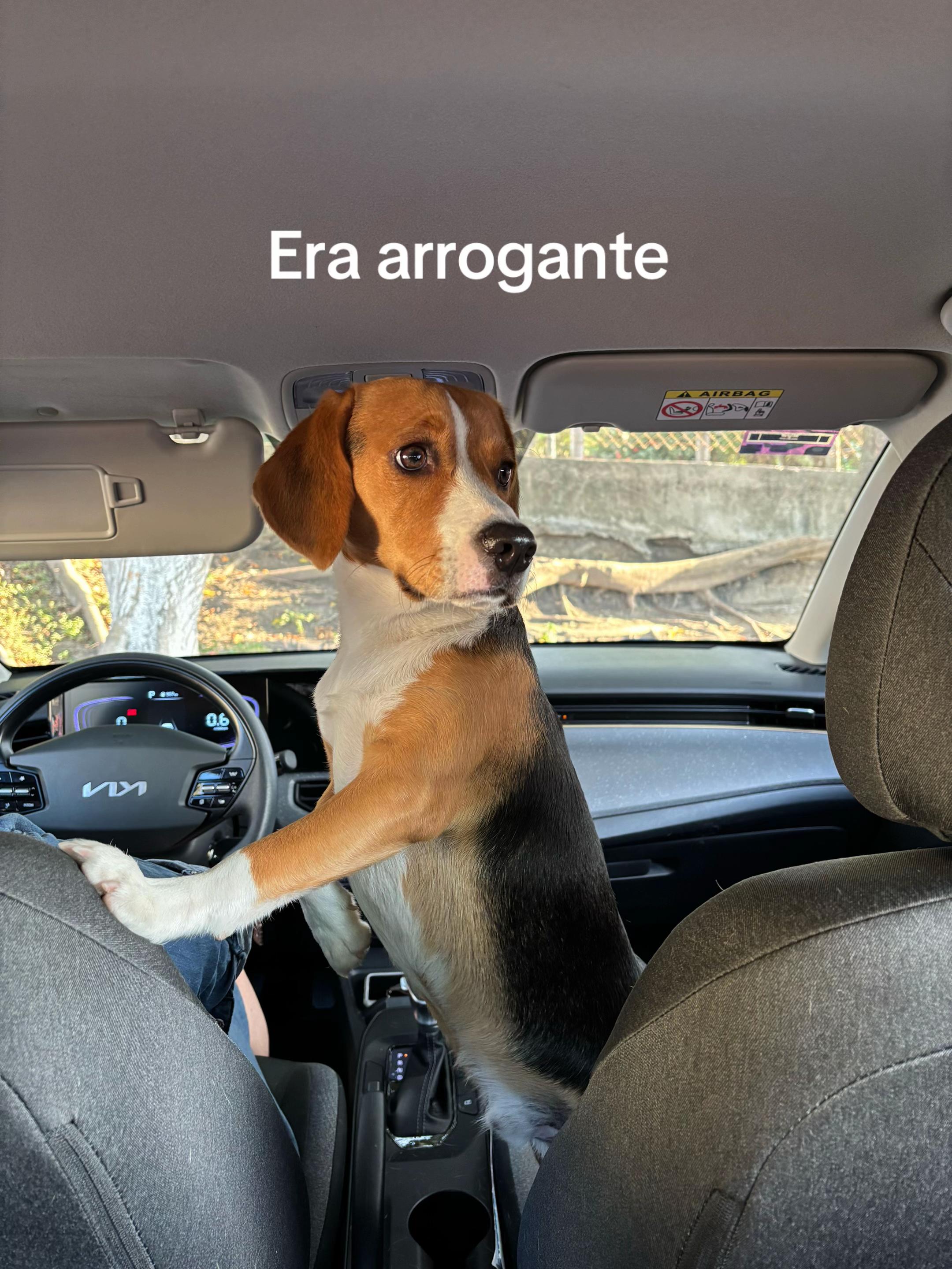 @Eros_dario