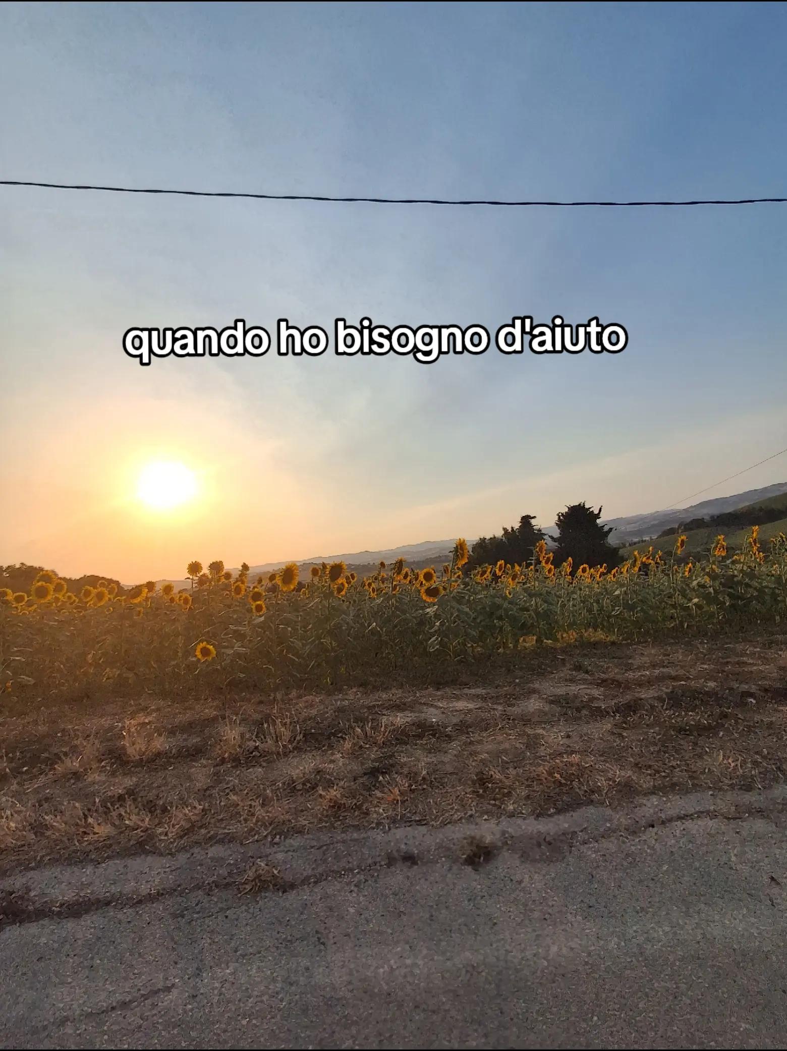 @𝑴𝒆𝒍🇦🇱