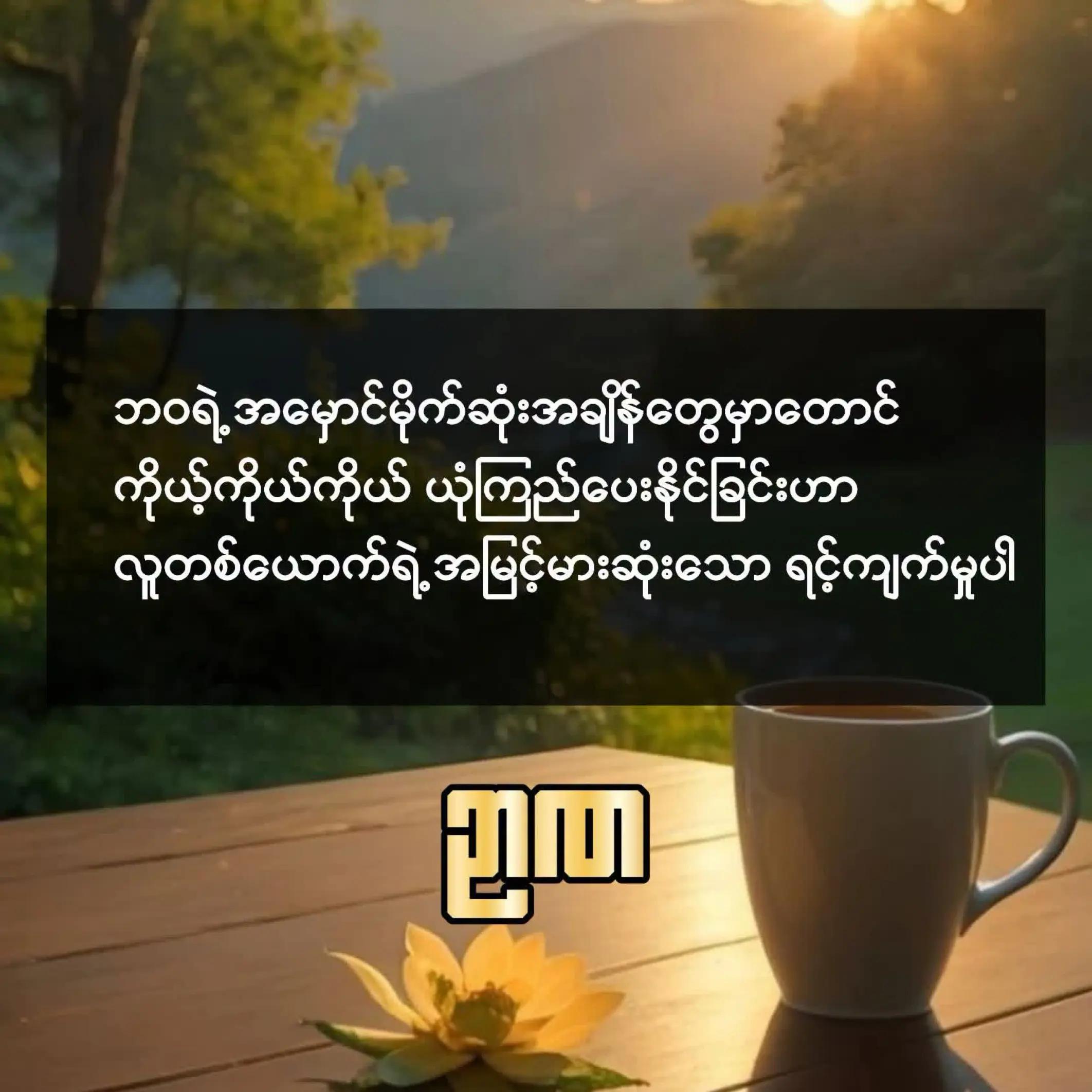 @ဟိန်းဇော် (တန့်ဆည်)