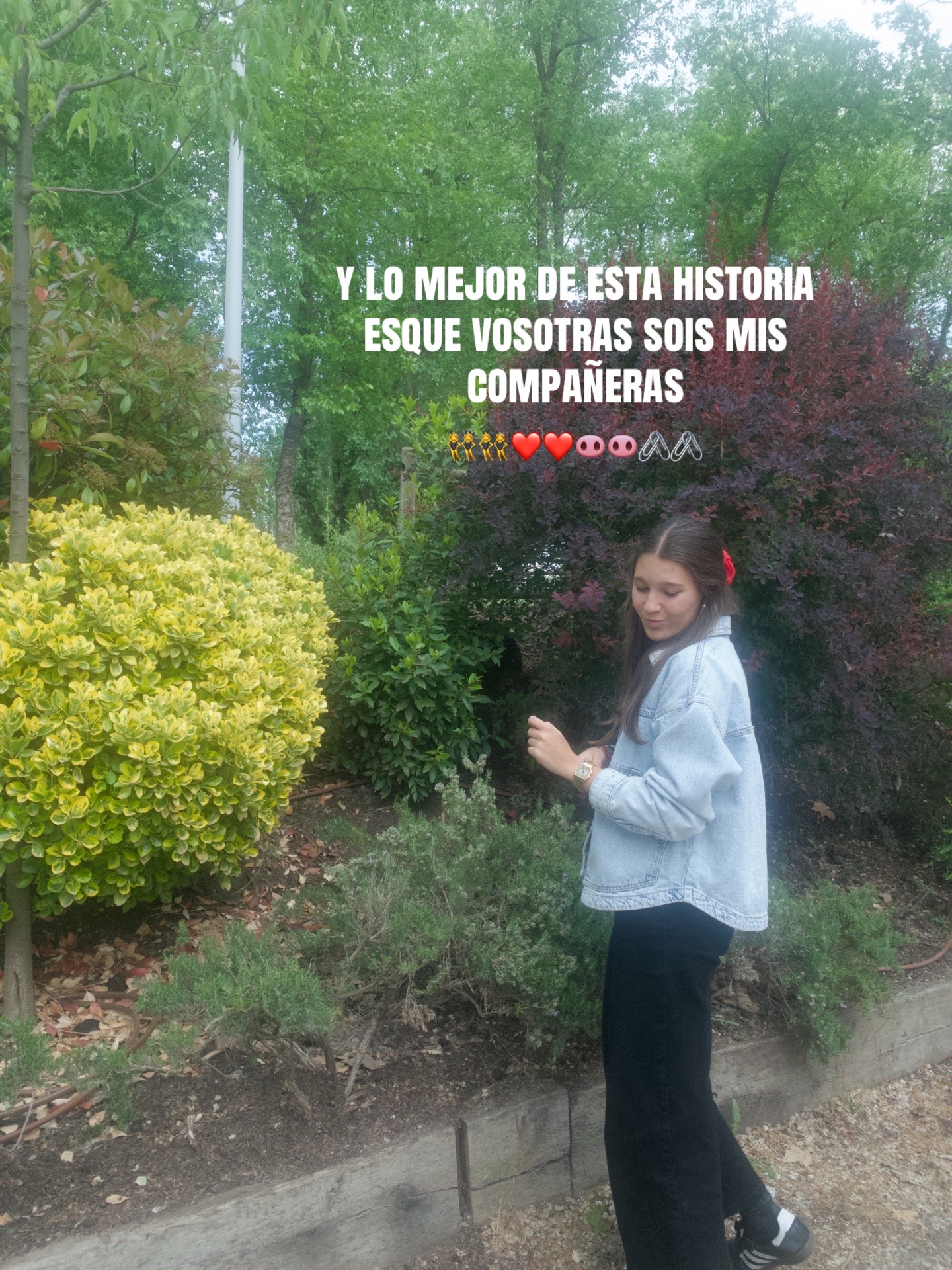 @cerdipous