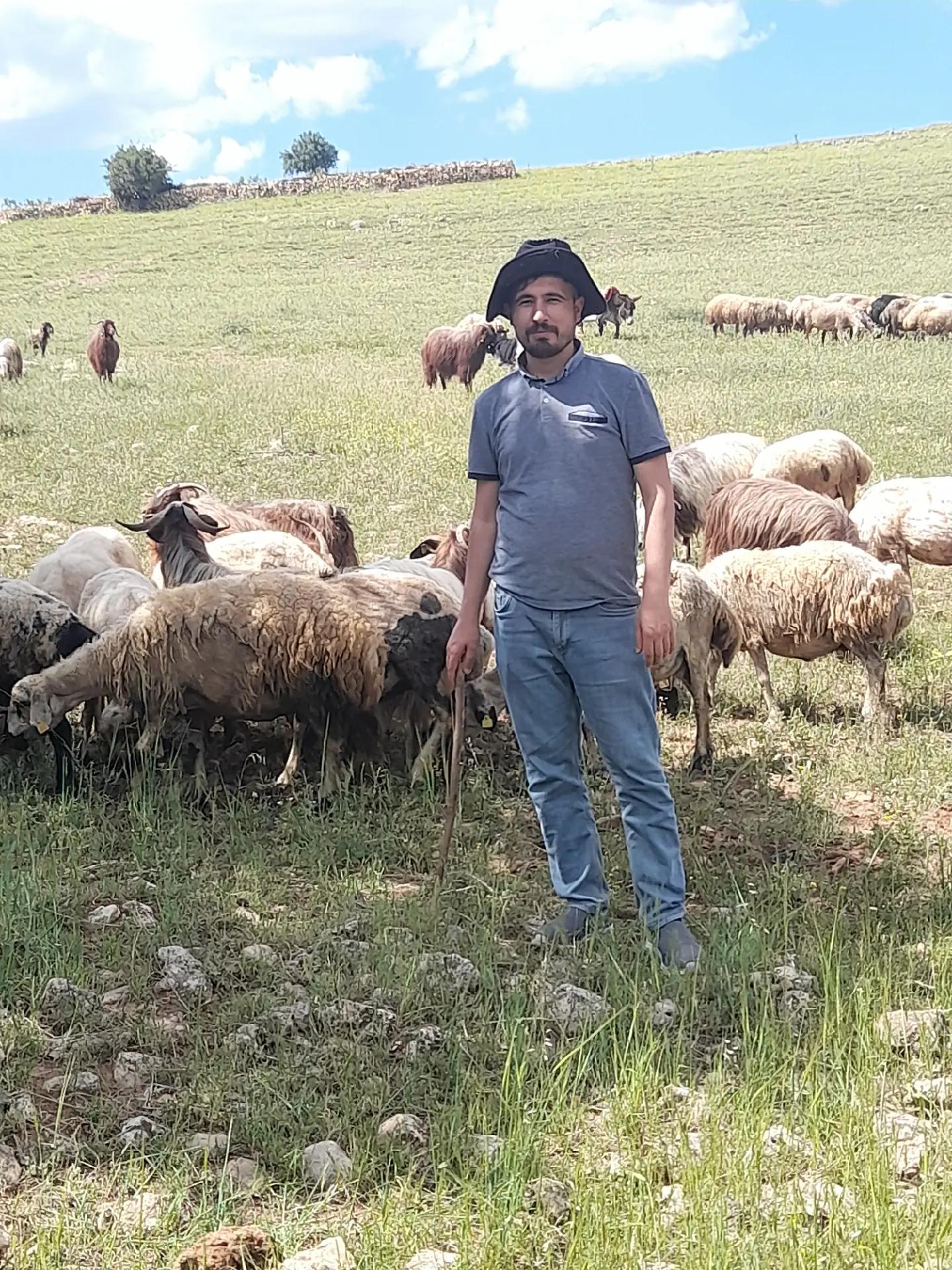 @M.mehti garlı