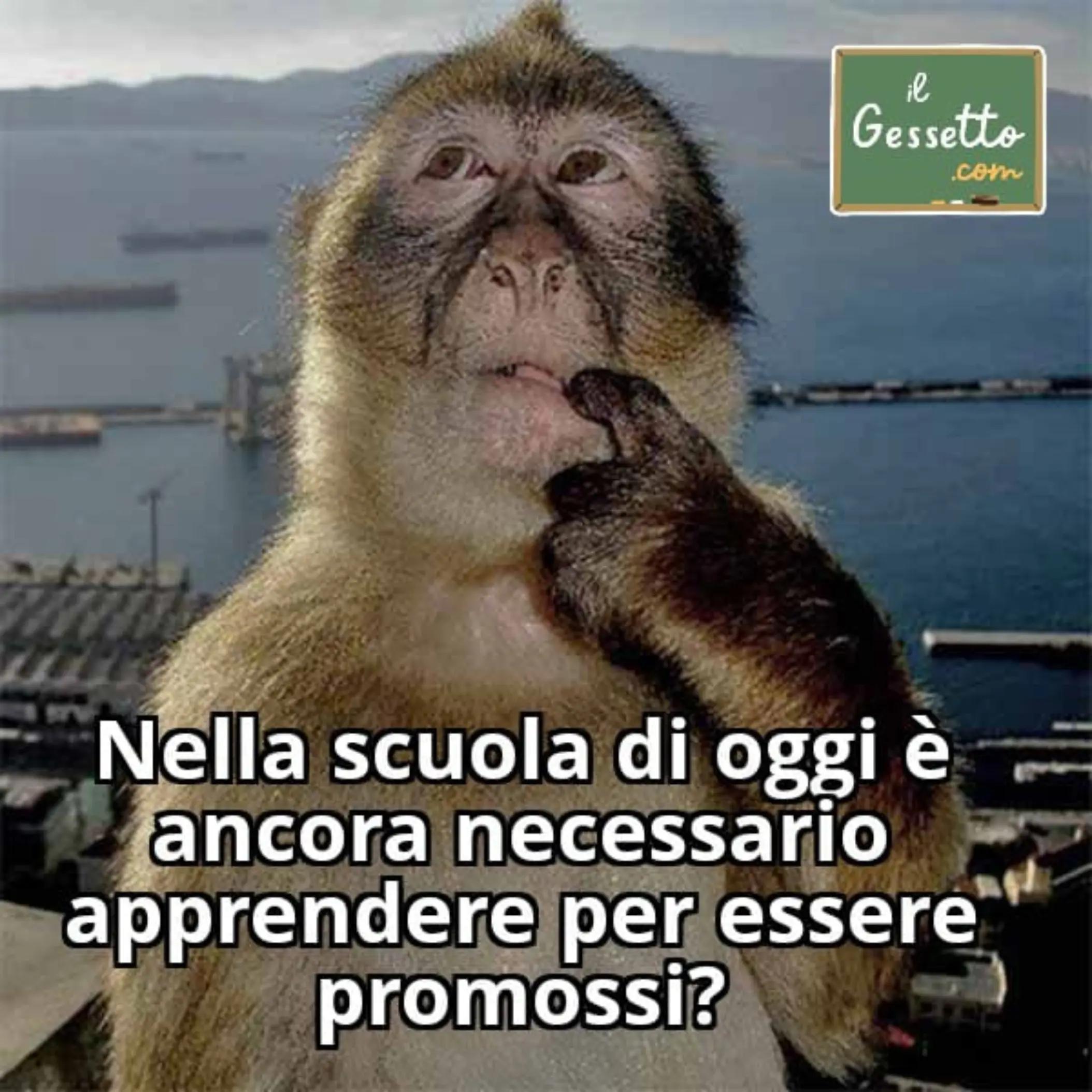 @Il Gessetto - Per la Scuola