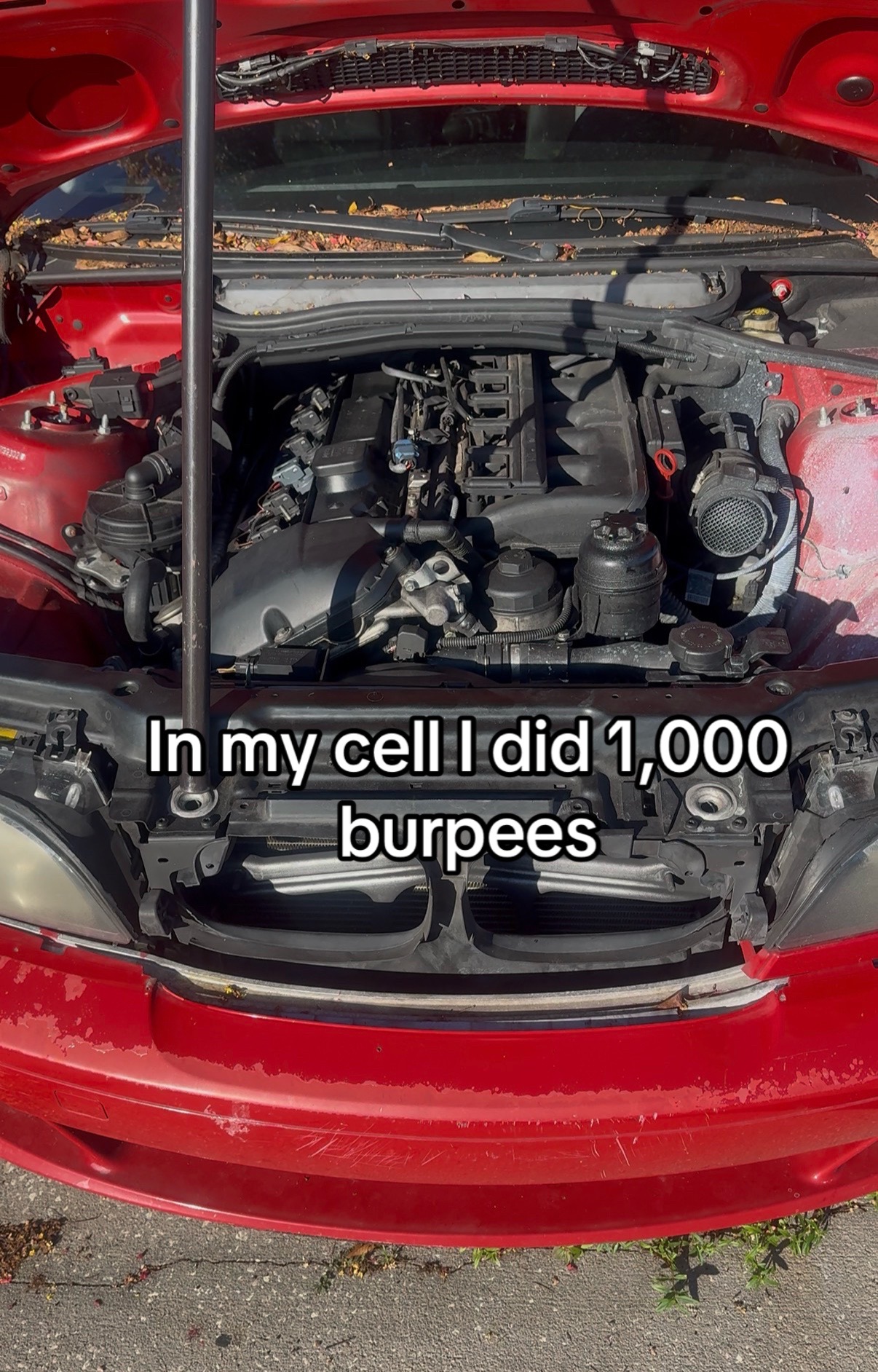 @Bmw
