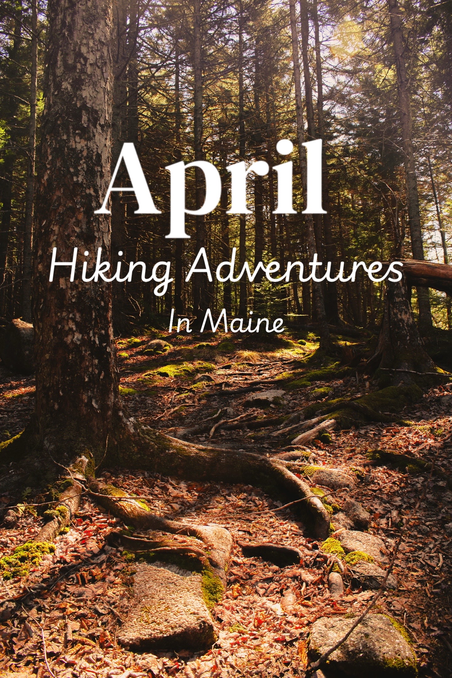 @Esme - HikeMaineWithMe