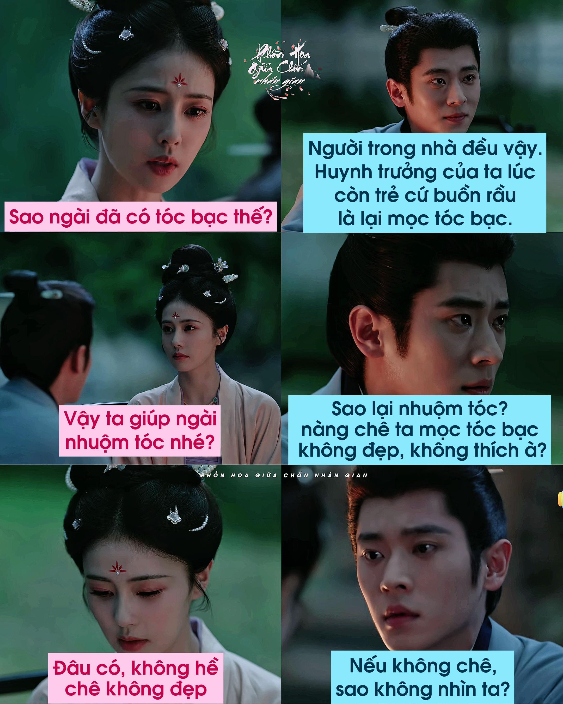 @Phồn Hoa Giữa Chốn Nh&acirc;n Gian🌸