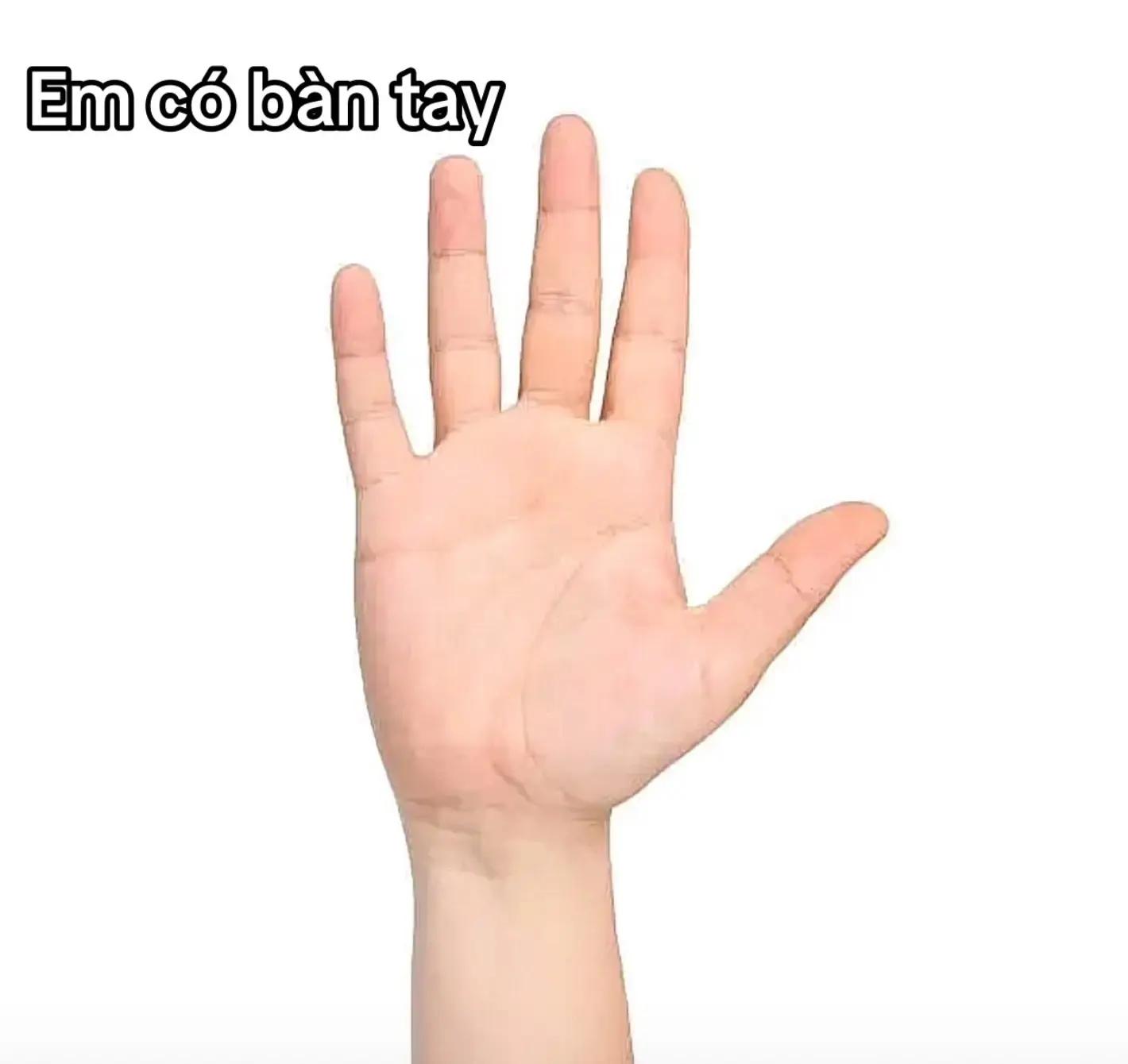 @nào tò tìn cr đc thì đổi tên💔
