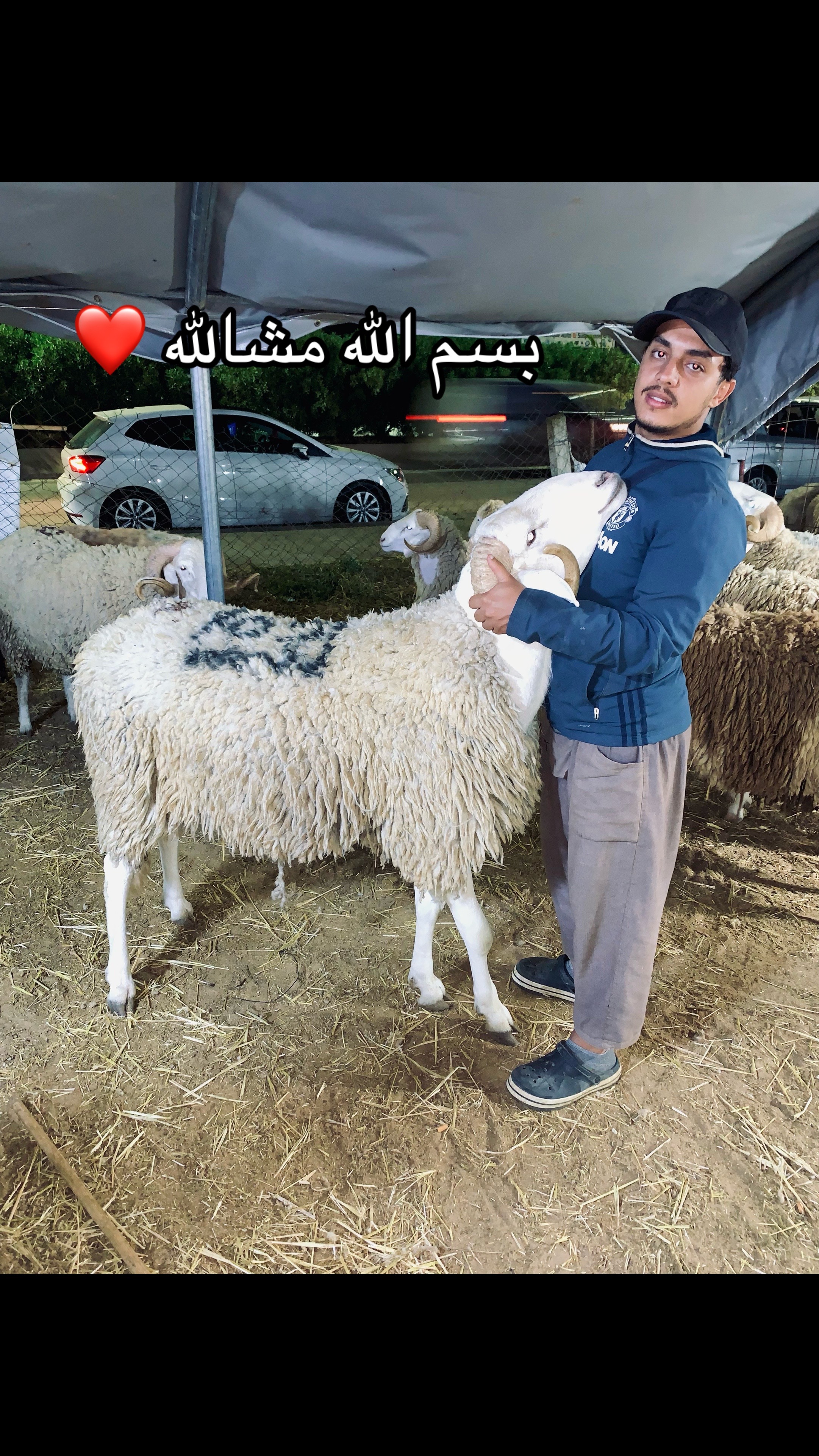 @ILyasOu🇩🇿⁉️