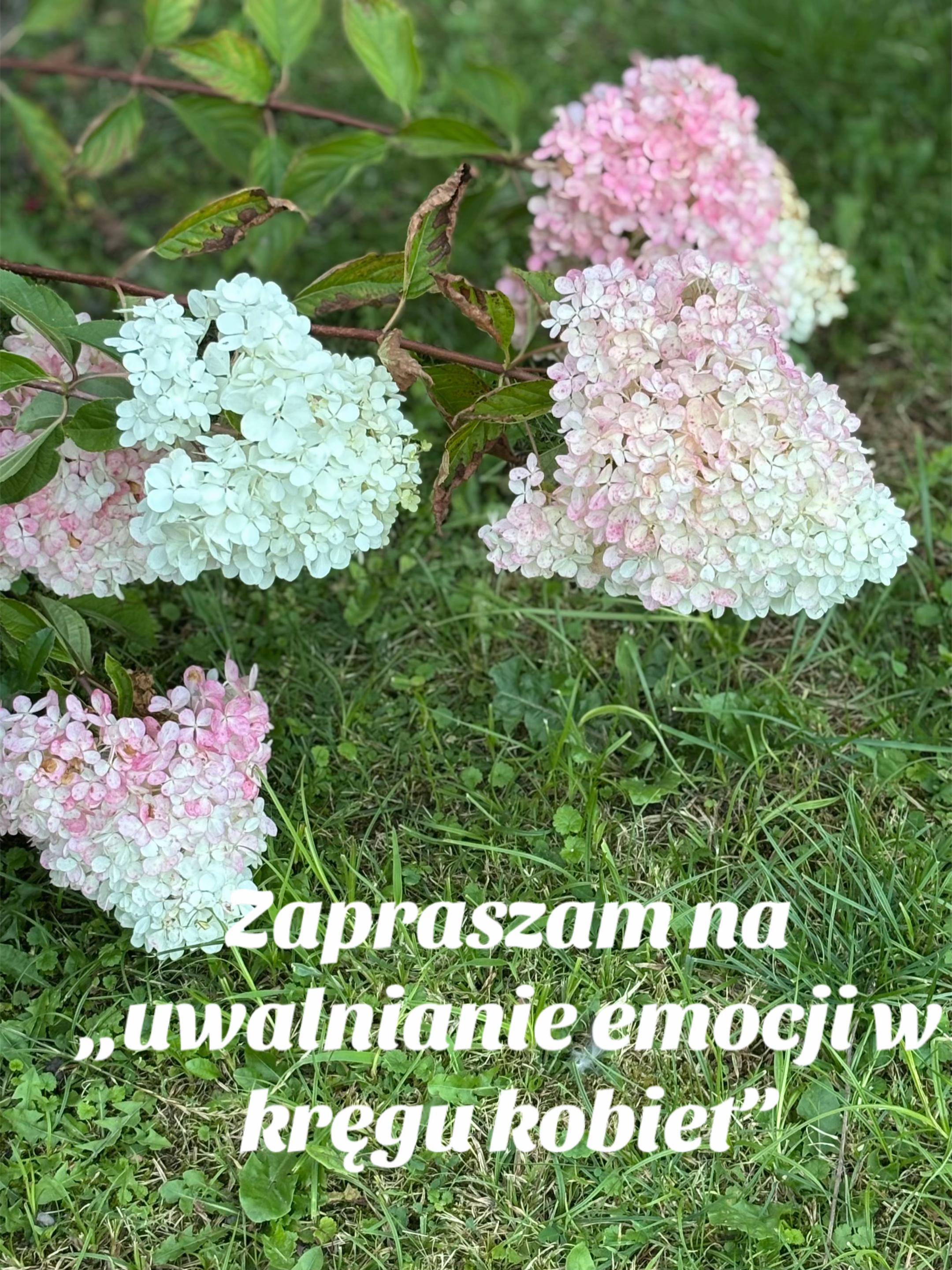 @Odnaleźć siebie