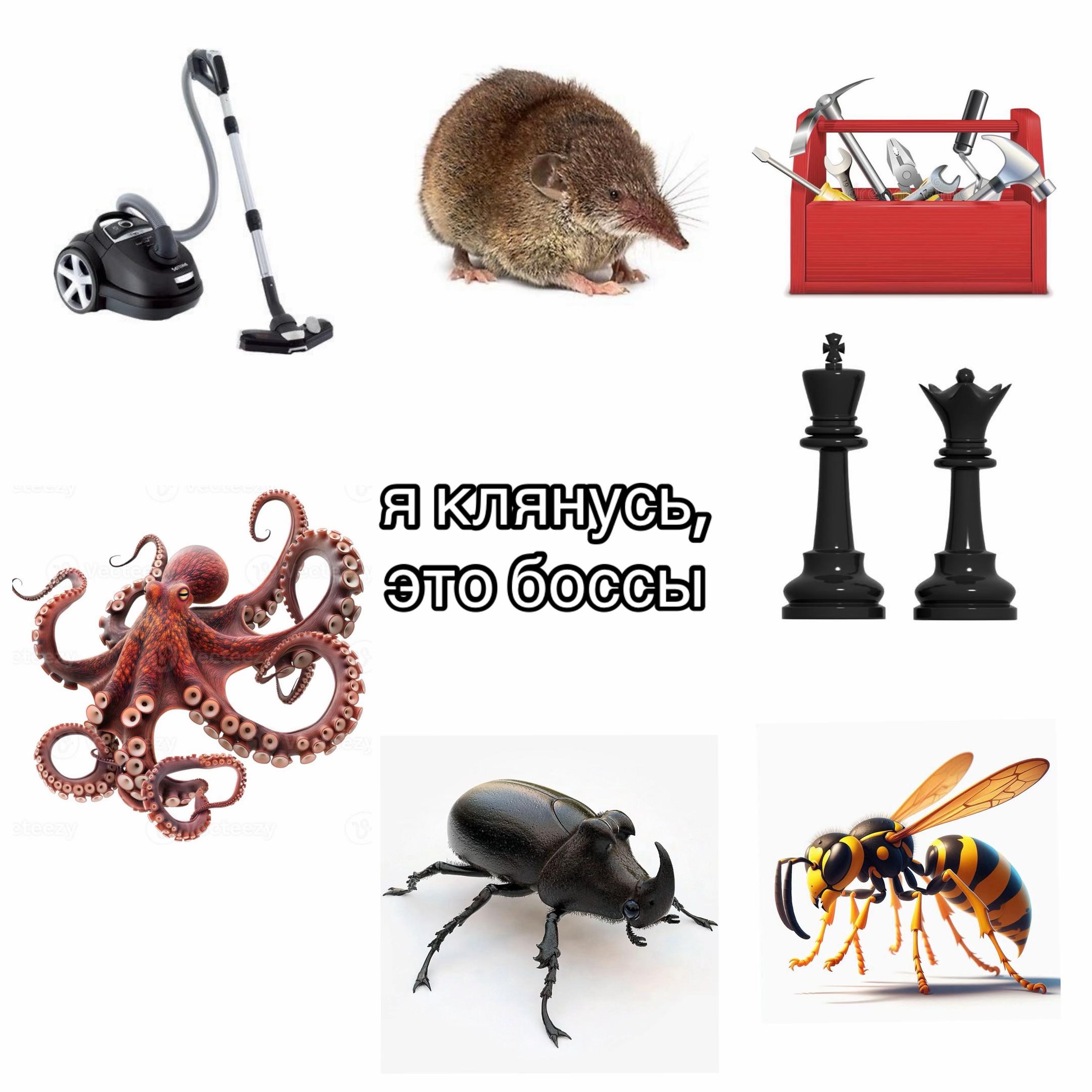 @randomuser123488521