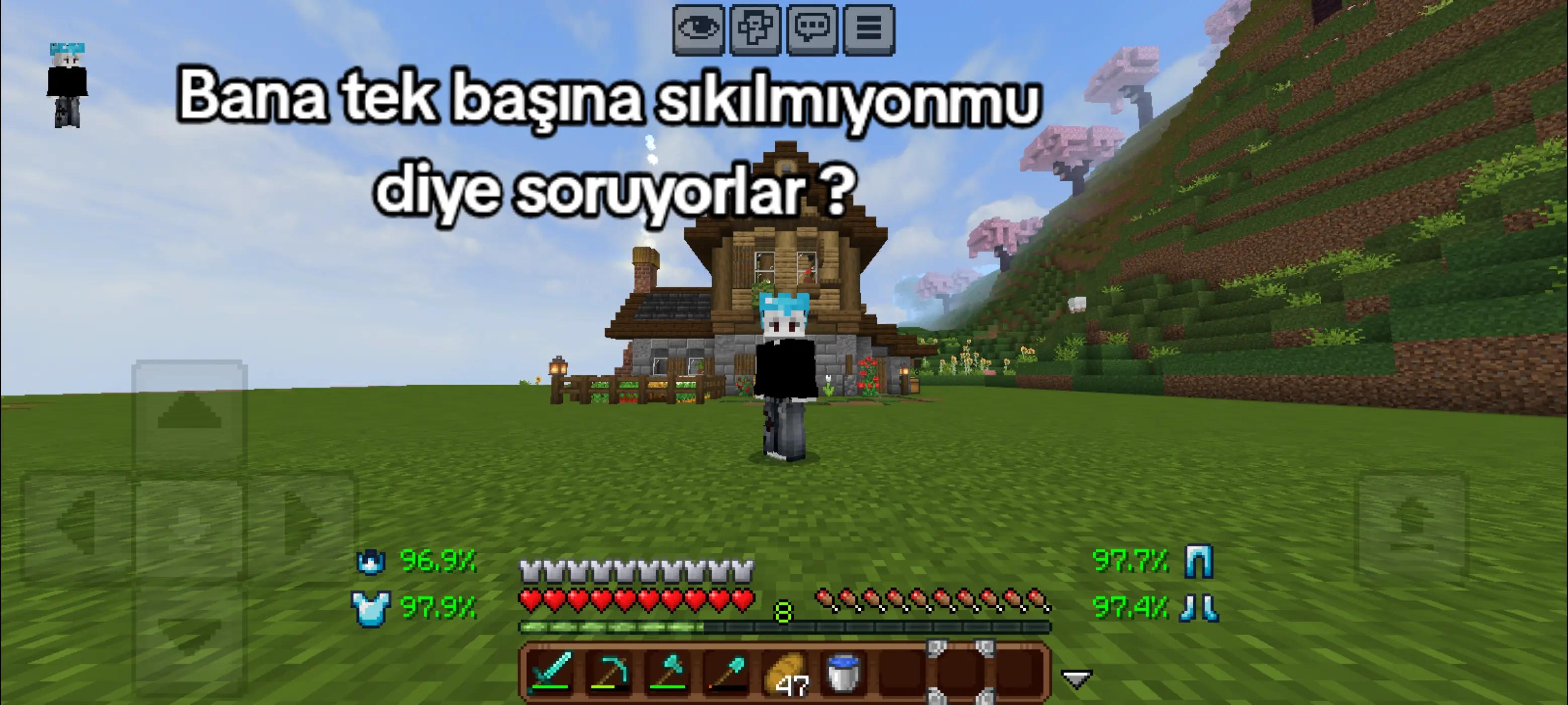 @GojoMC🔹