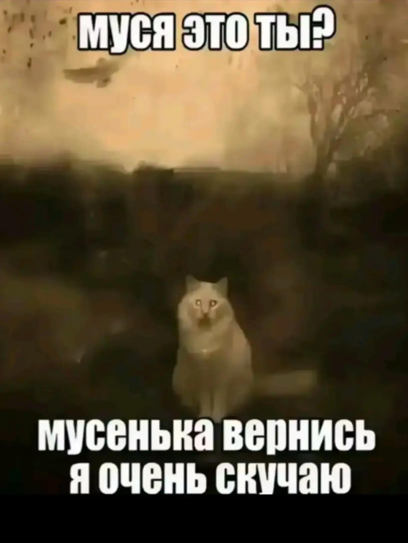 @тгк: light xcxx