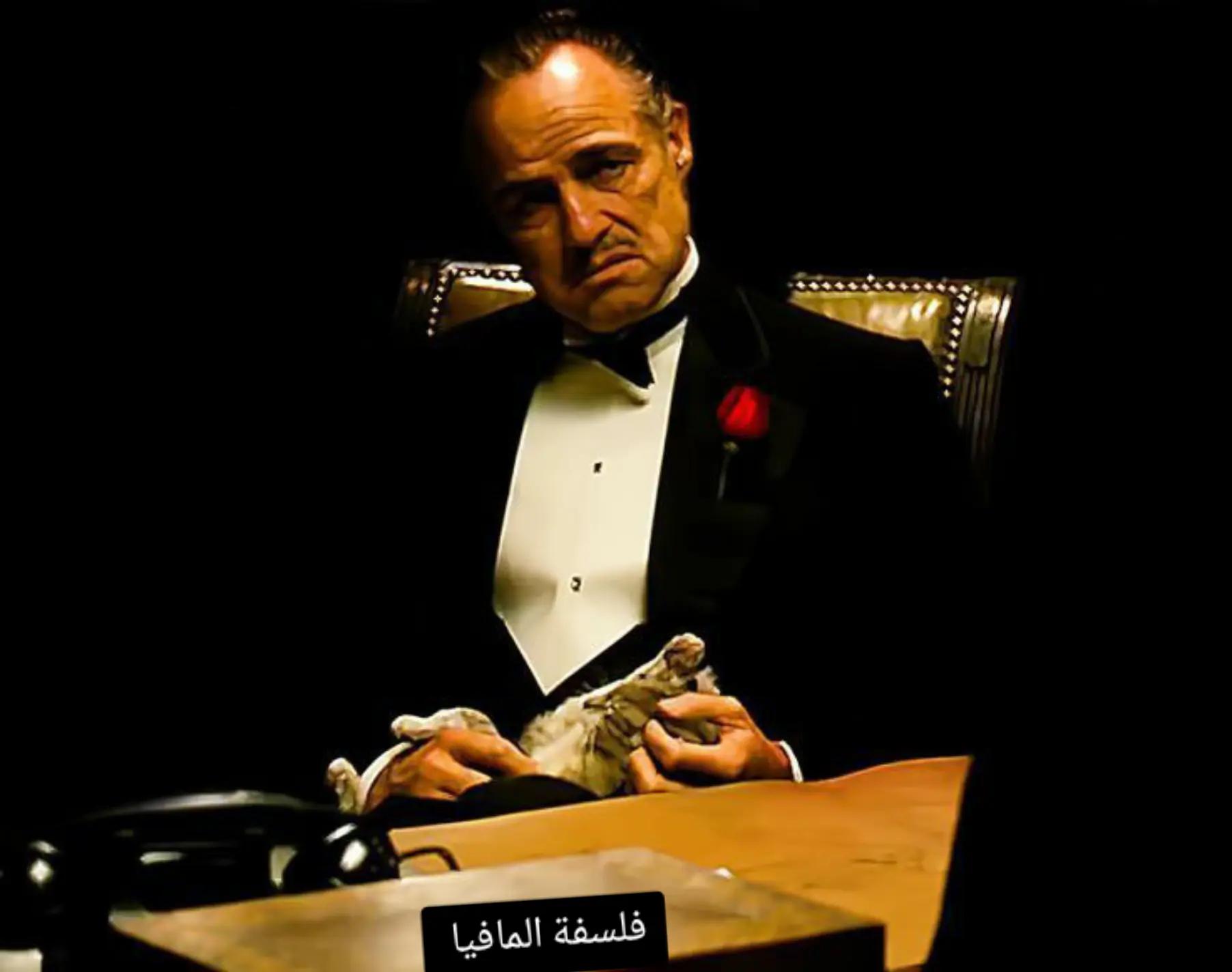 @🏴☠️ alpacino