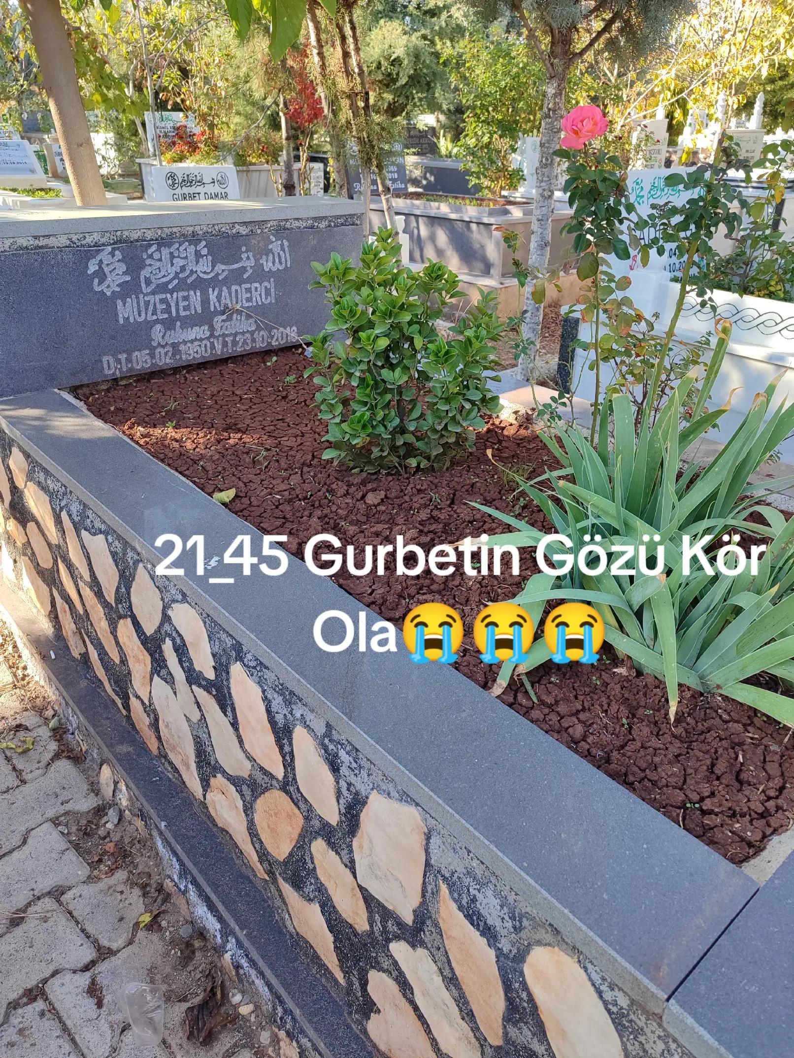 @Saliha Yavuz
