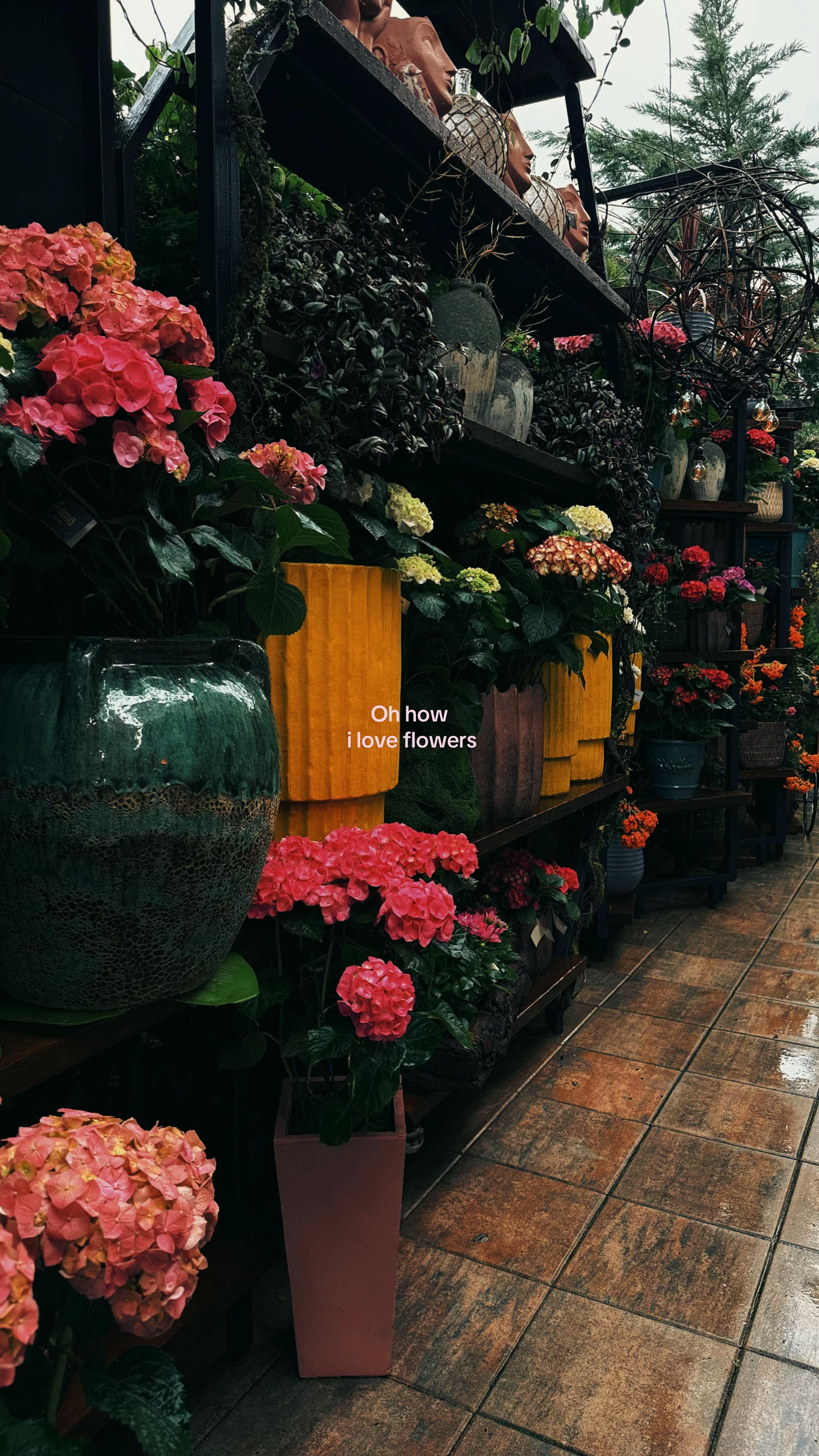 @poemsofyou🌷