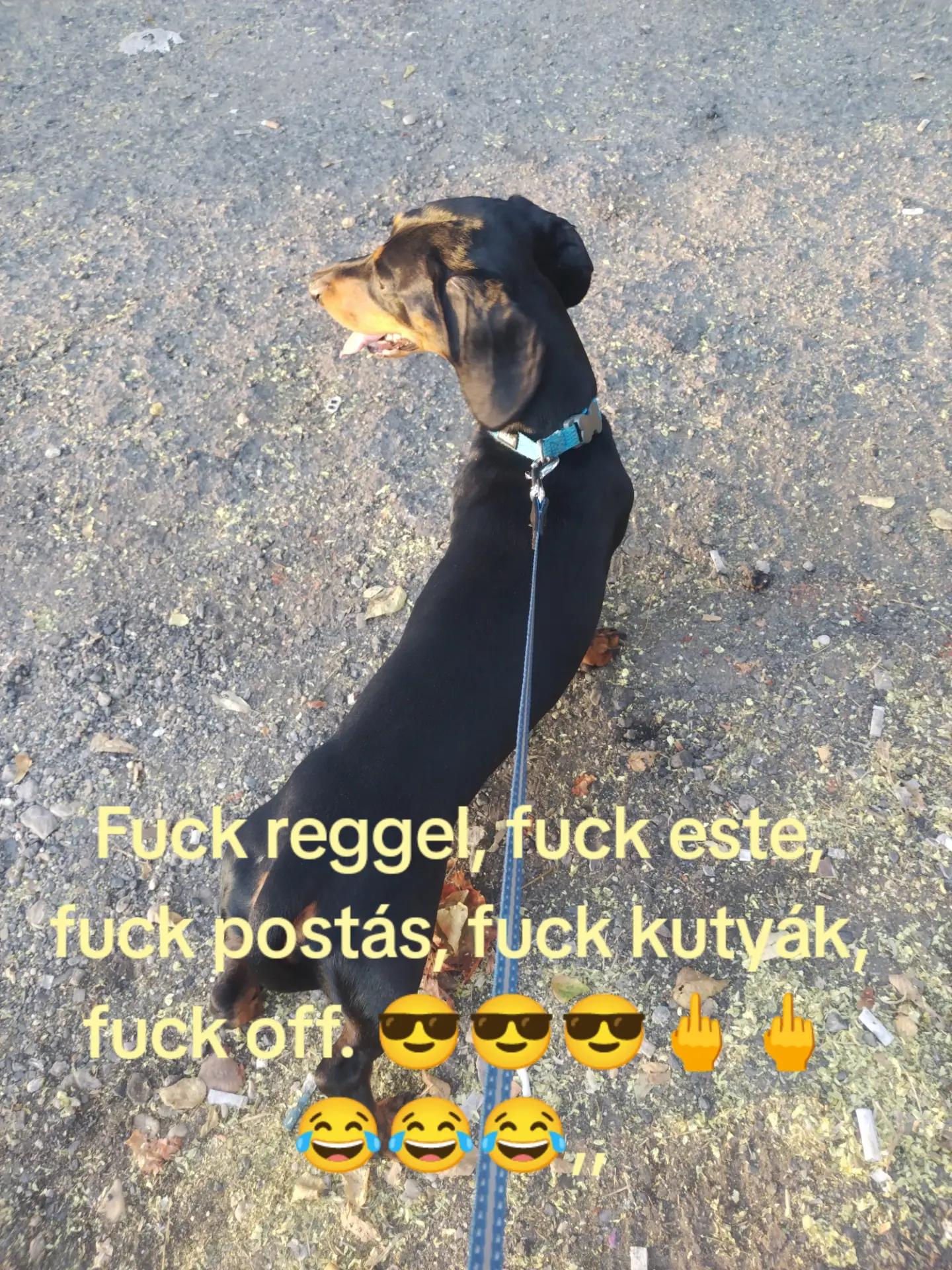 @NEO