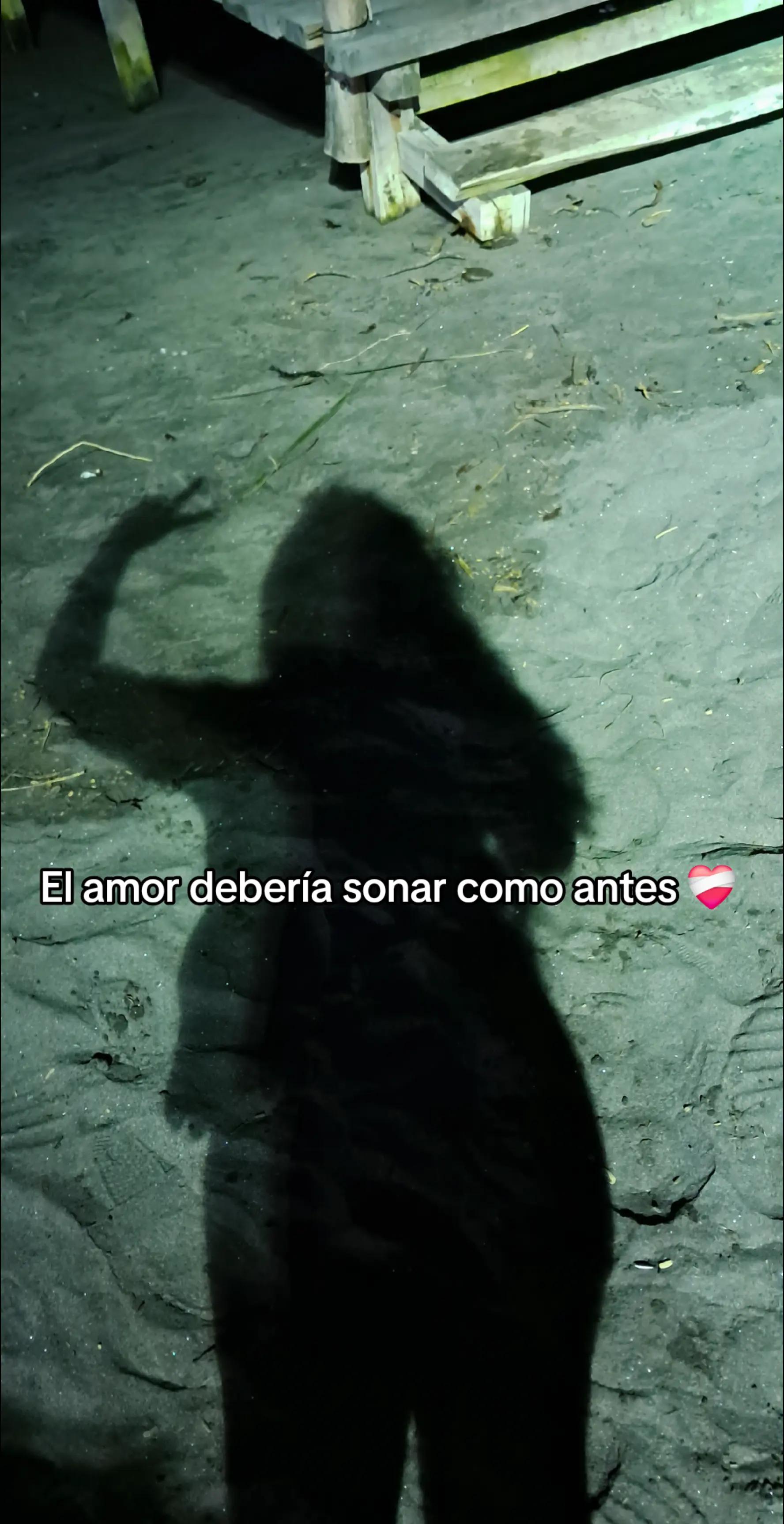 @✨ Estefy🩷💜