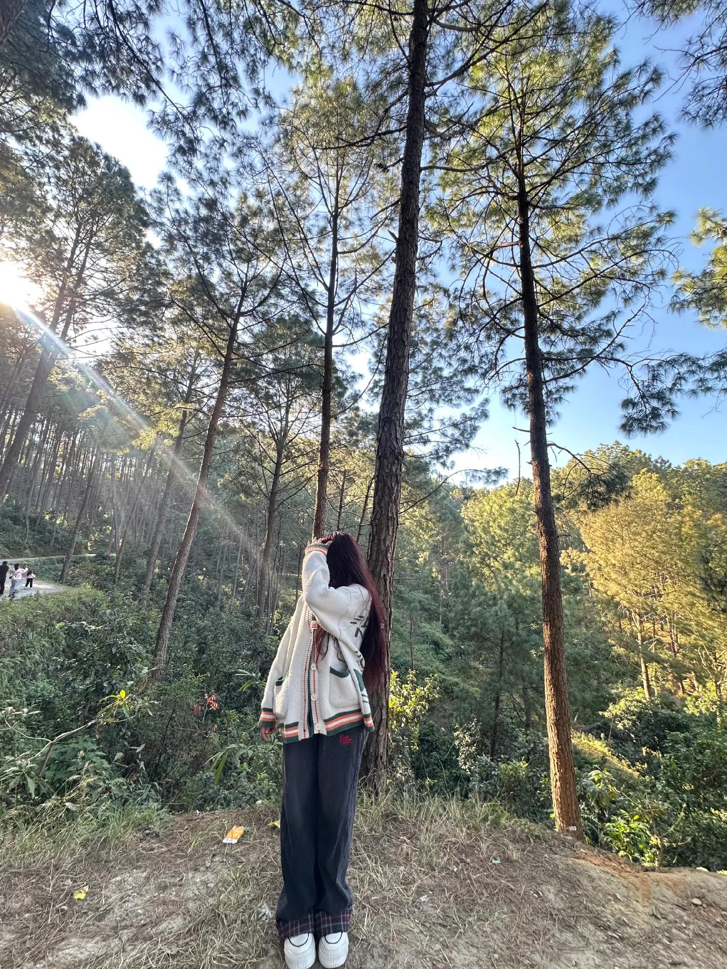 @ज्योति लामिछाने गुरूङ