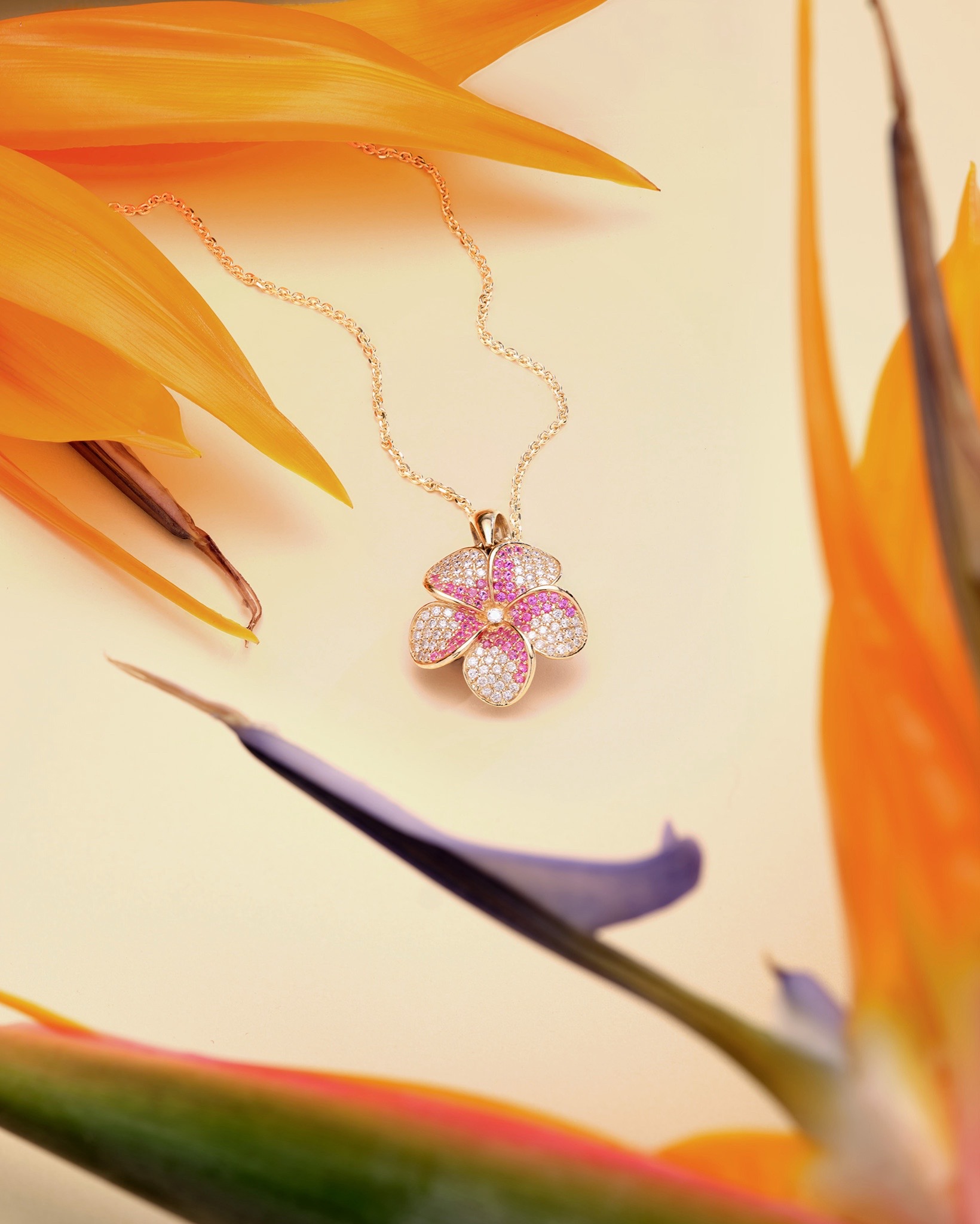 @Maui Divers Jewelry