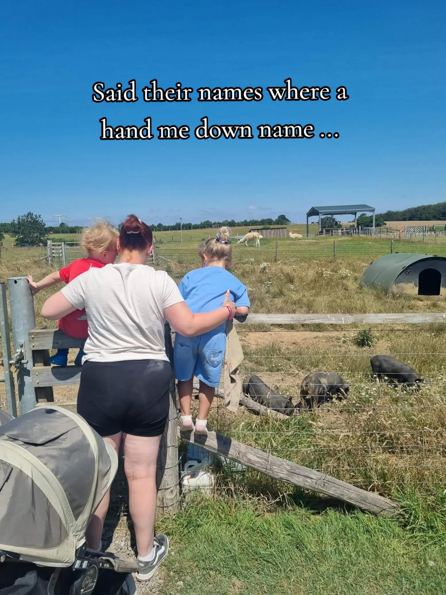 @Charlie Orchard