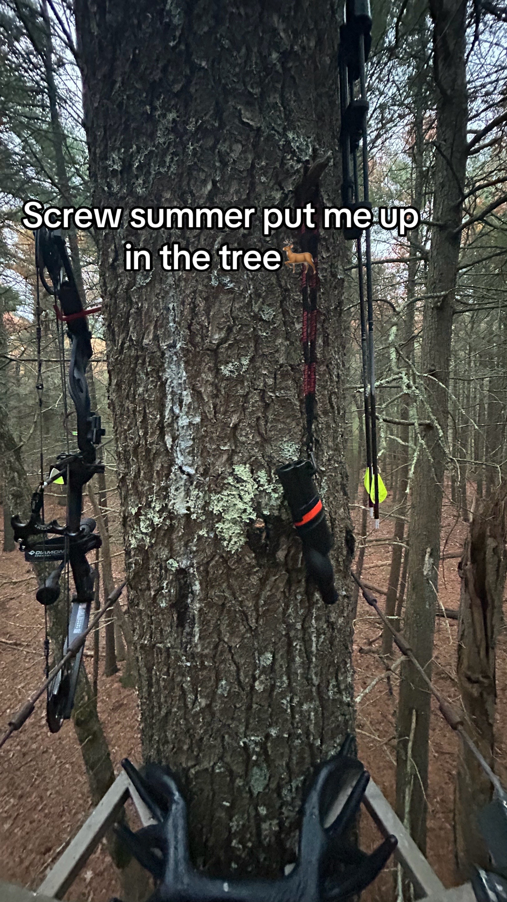 @Stu