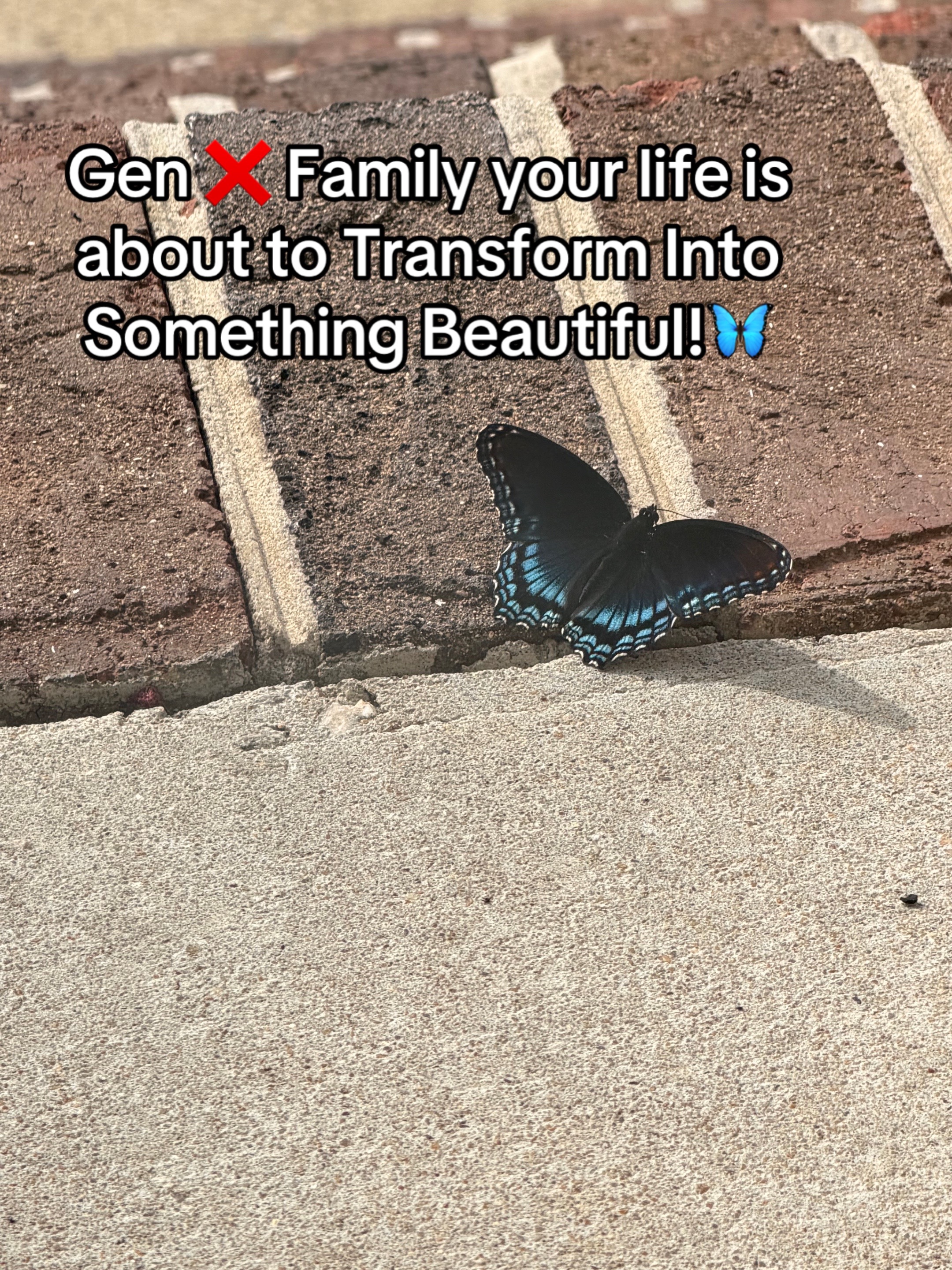 @❌️SonyaGordon007