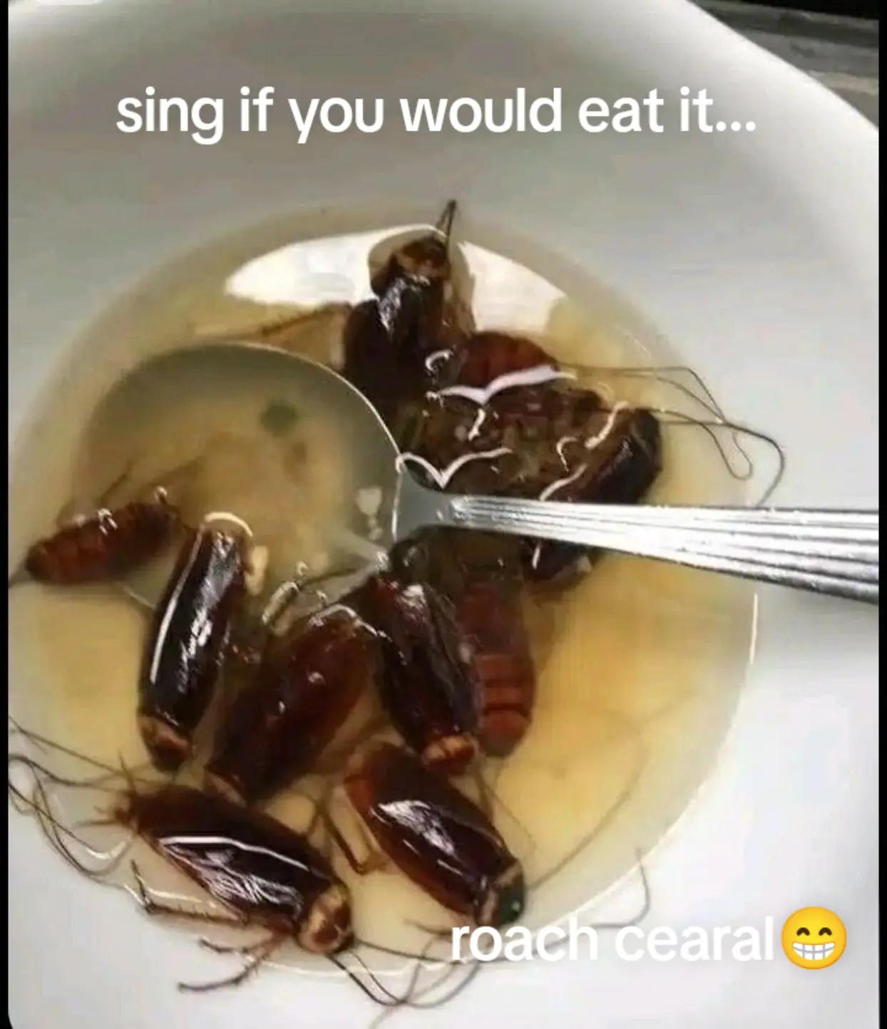 @๐ช๐ ๐ฆ๐ฃ๐๐ฆ๐ฃ๐๐ช๐๐๐ฃ๐แจฎื๐