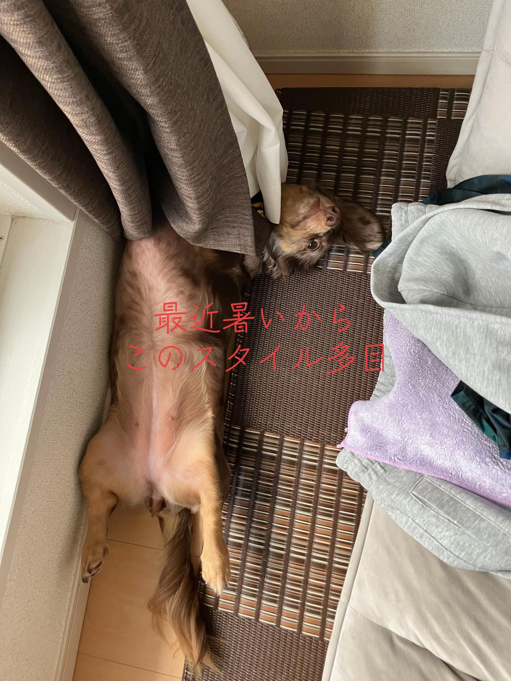 @ケン