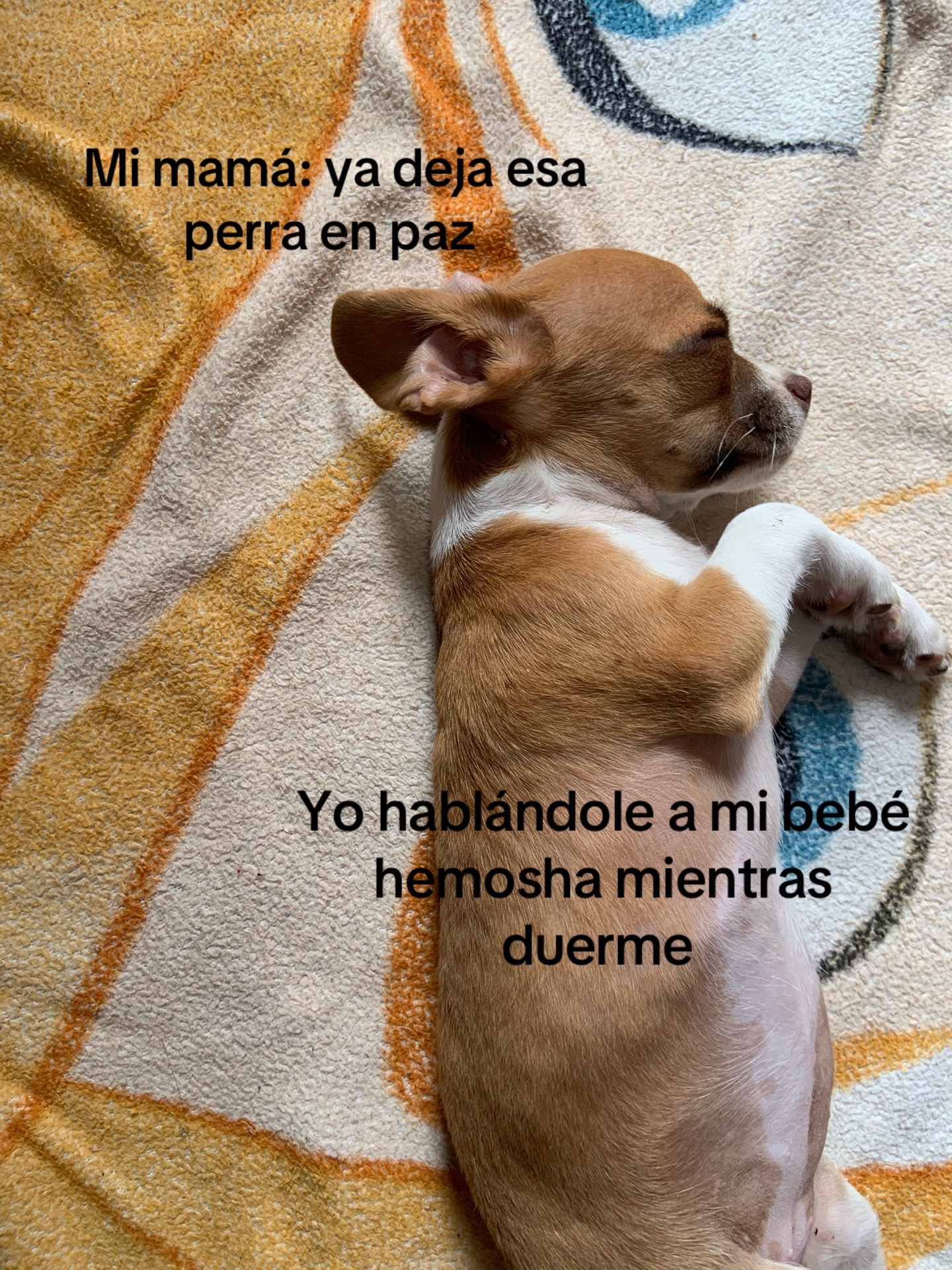 @elote_en_vaso7