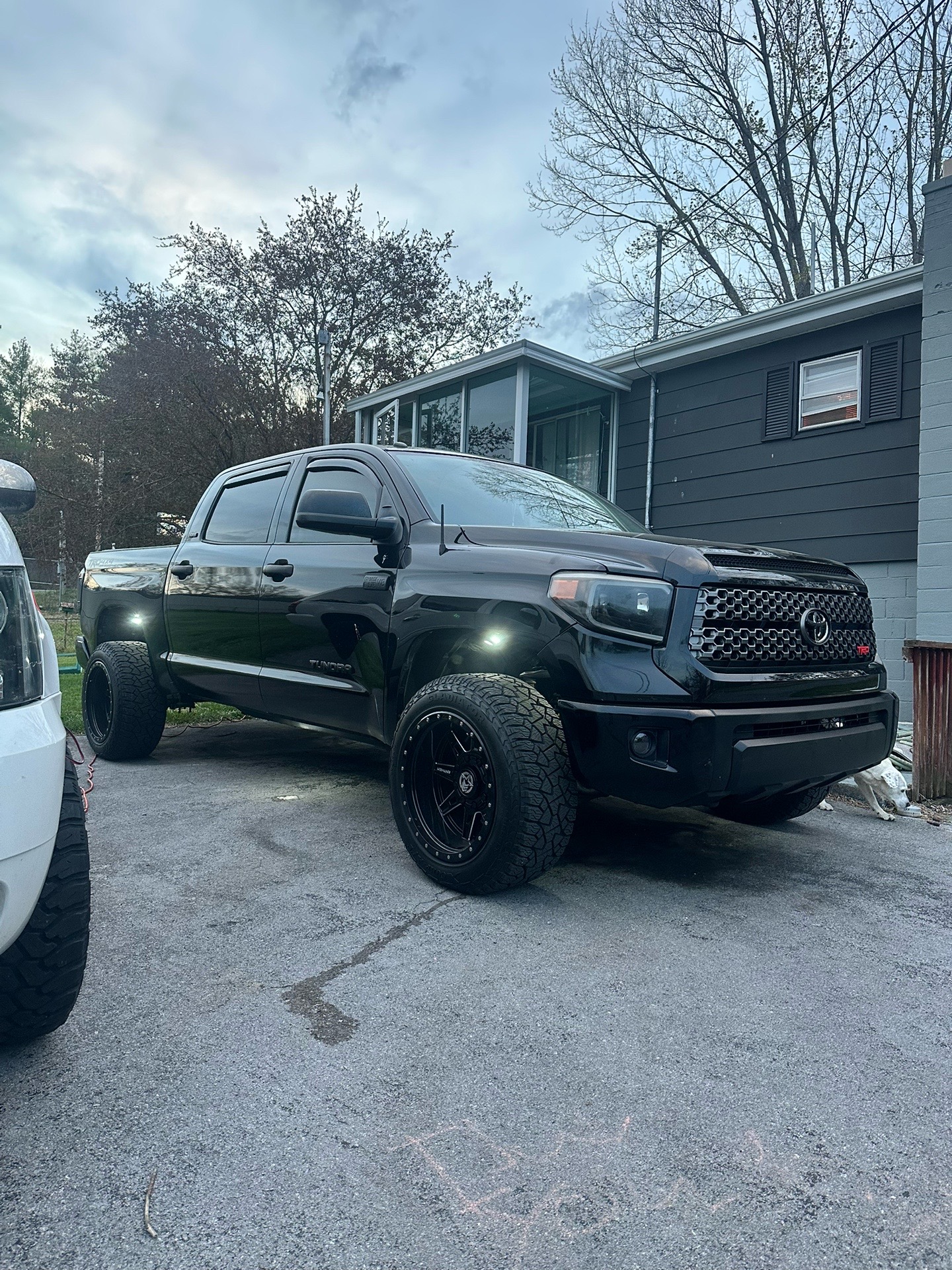 @That.black.tundra