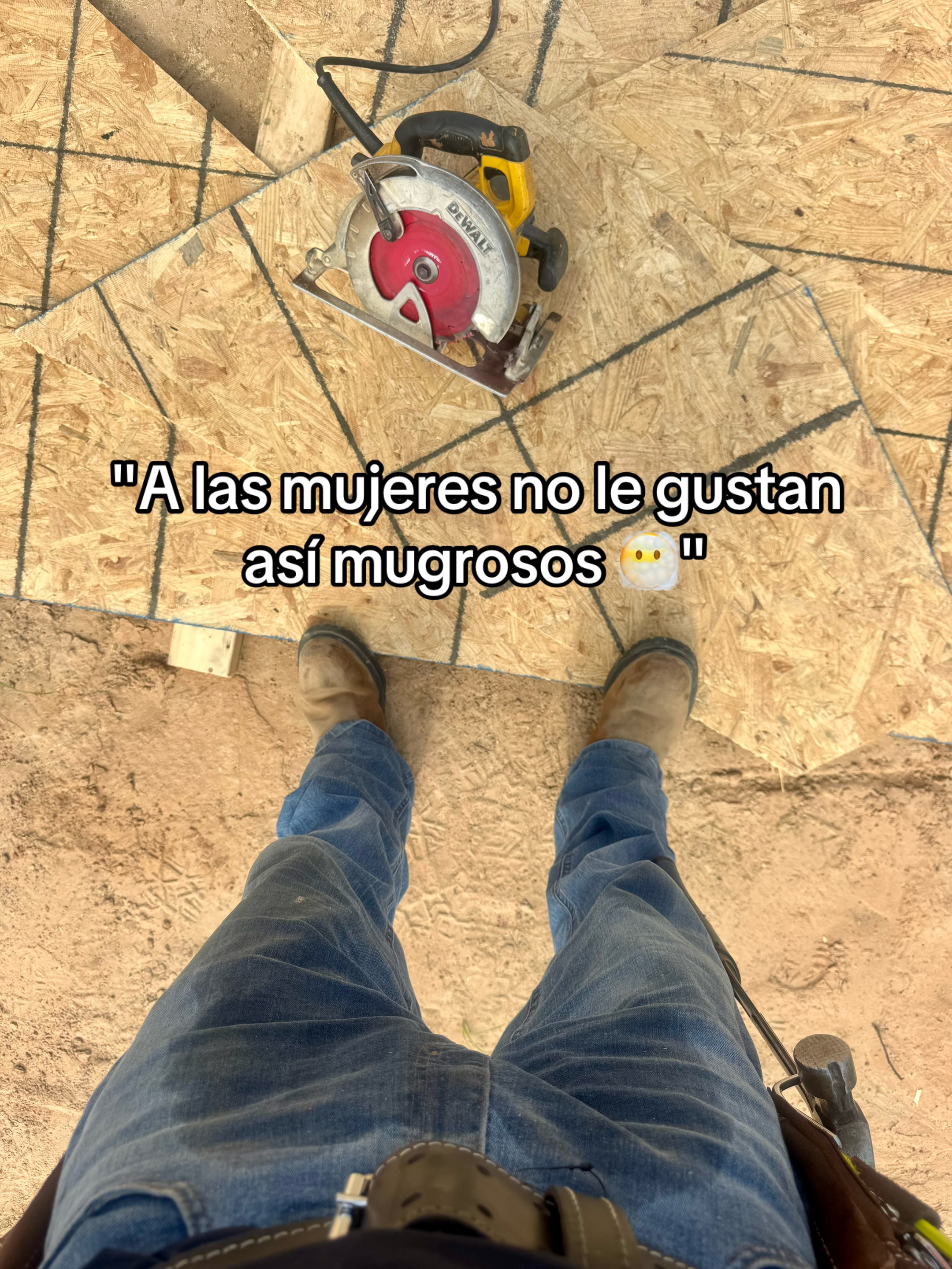 @qiique🕷️