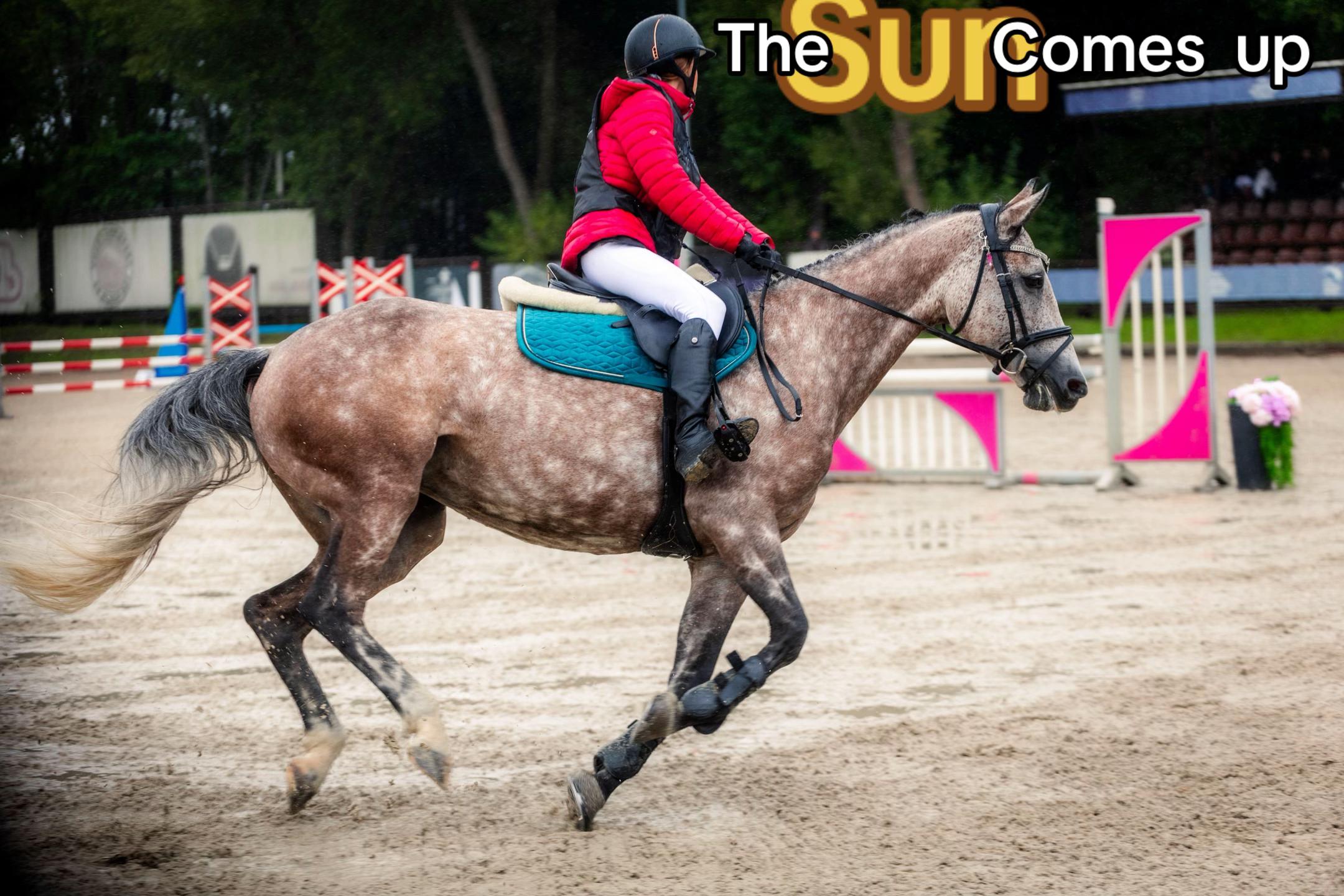 @🐴